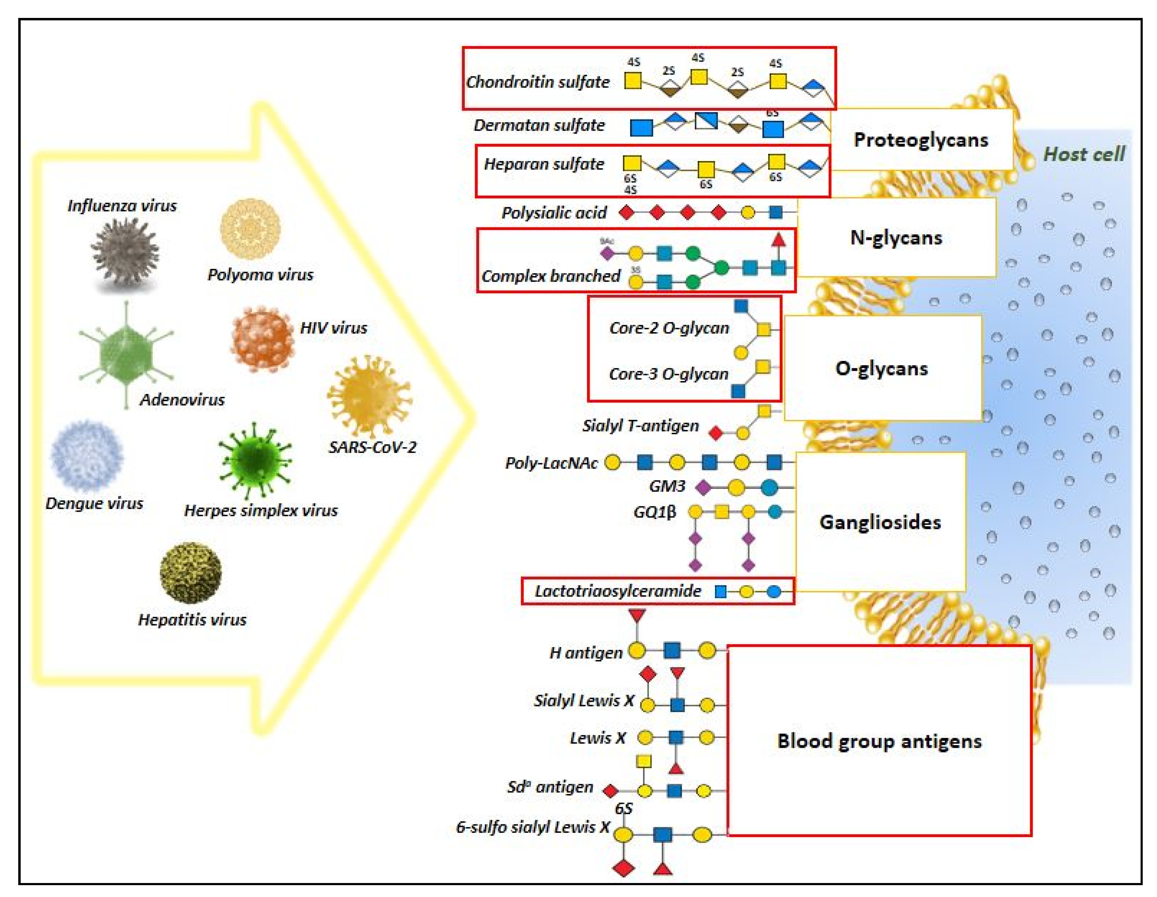 Viruses 13 00082 g004 Viruses 13 00082 g004