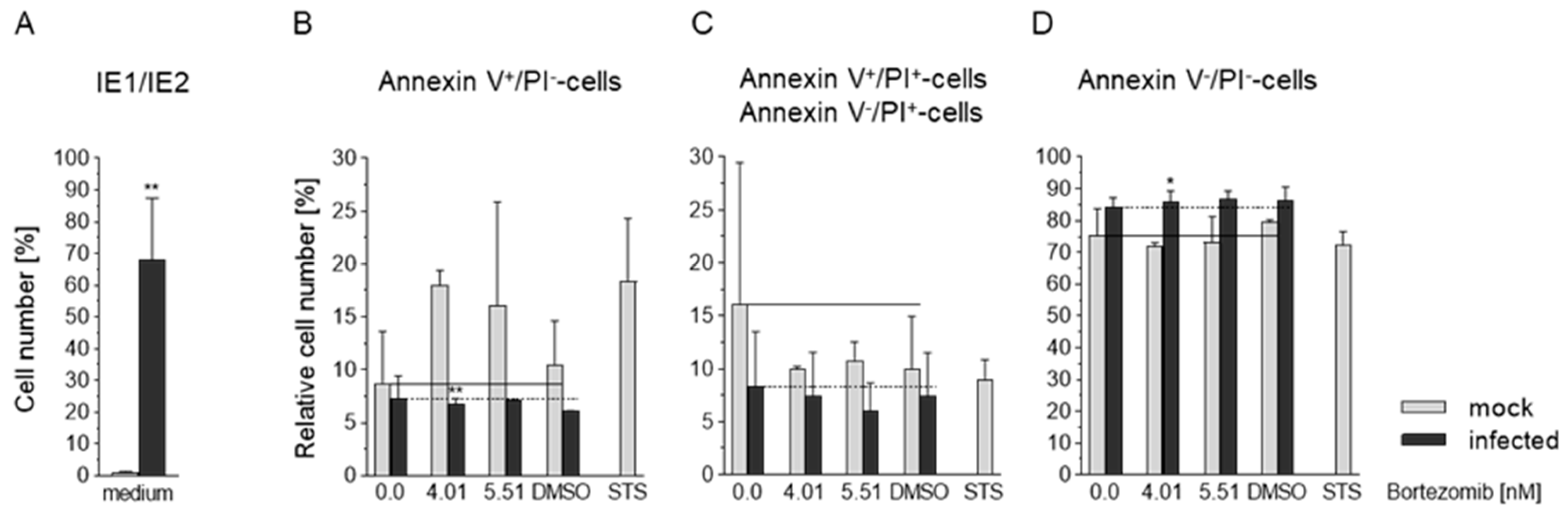 Viruses 13 00083 g006
