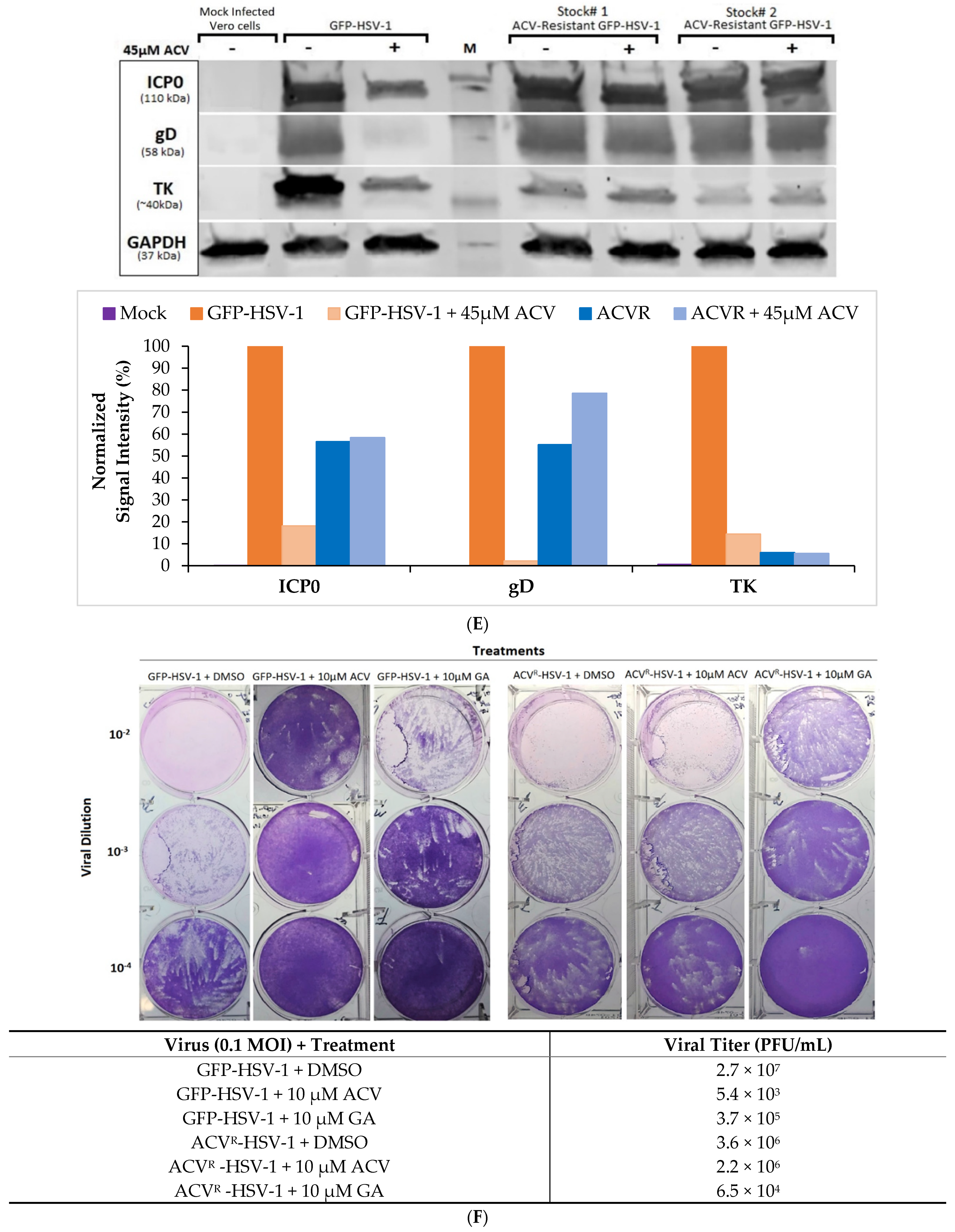 Viruses 13 00086 g001c