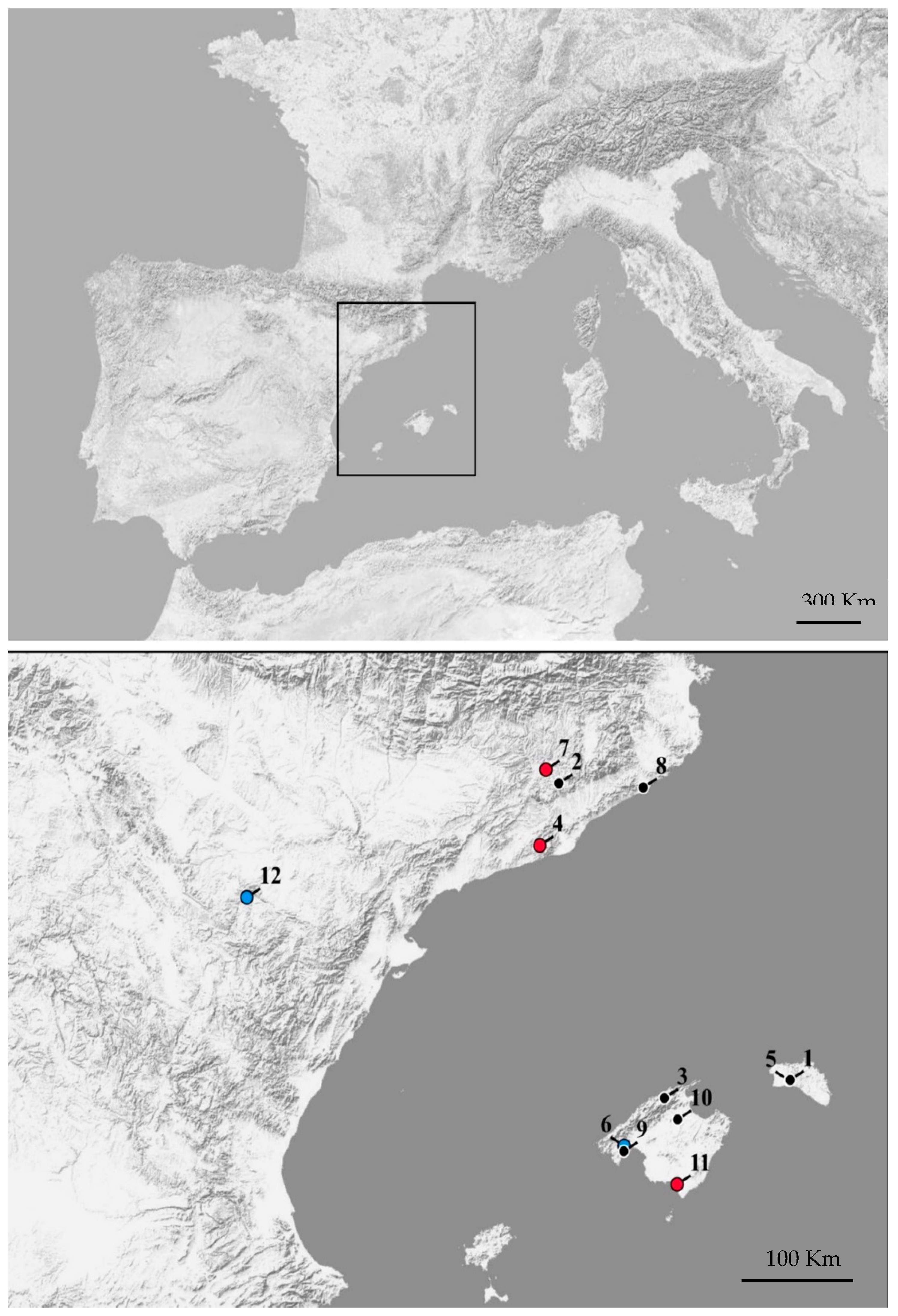 Viruses 13 00088 g001