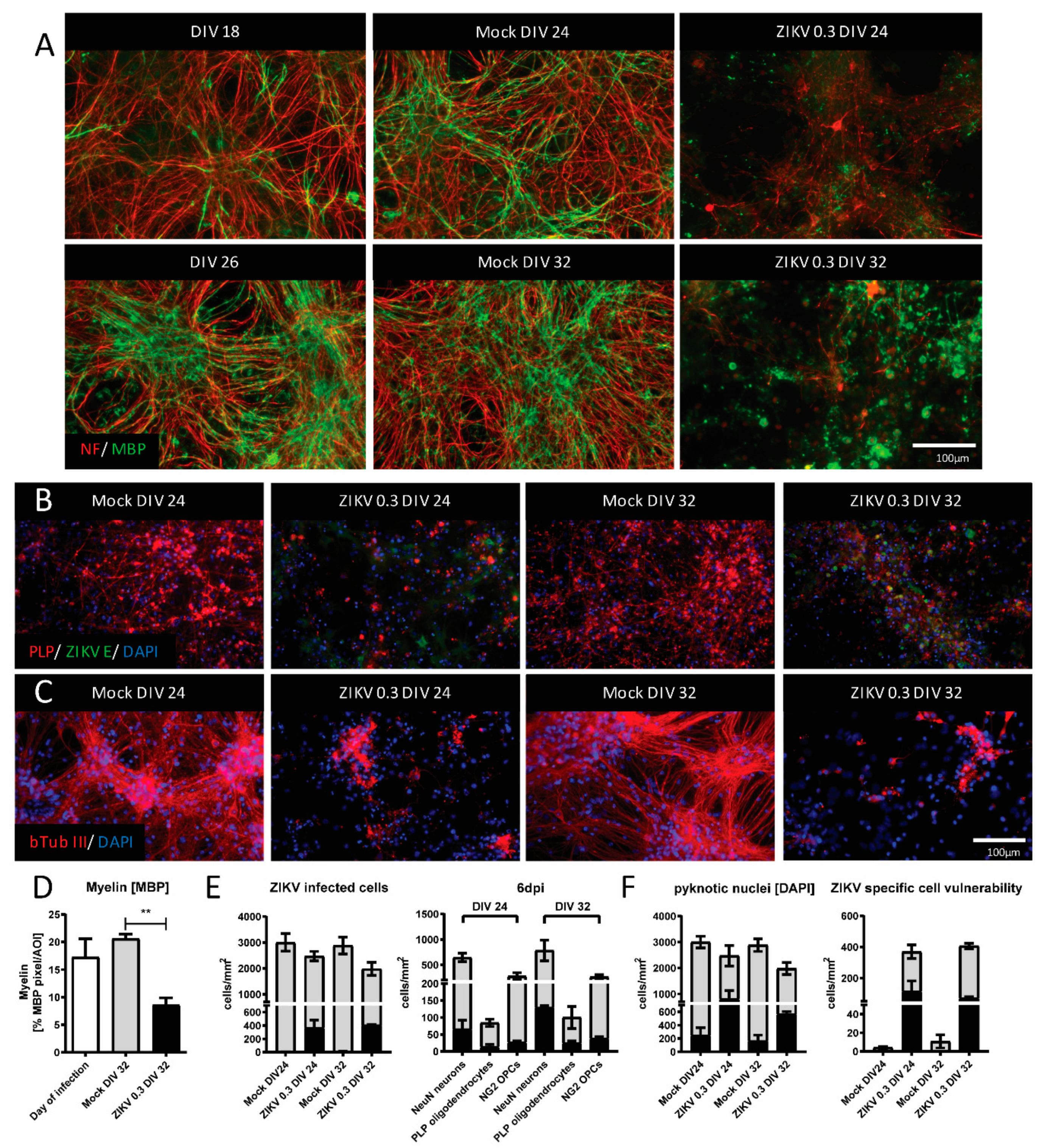 Viruses 13 00091 g002 Viruses 13 00091 g002