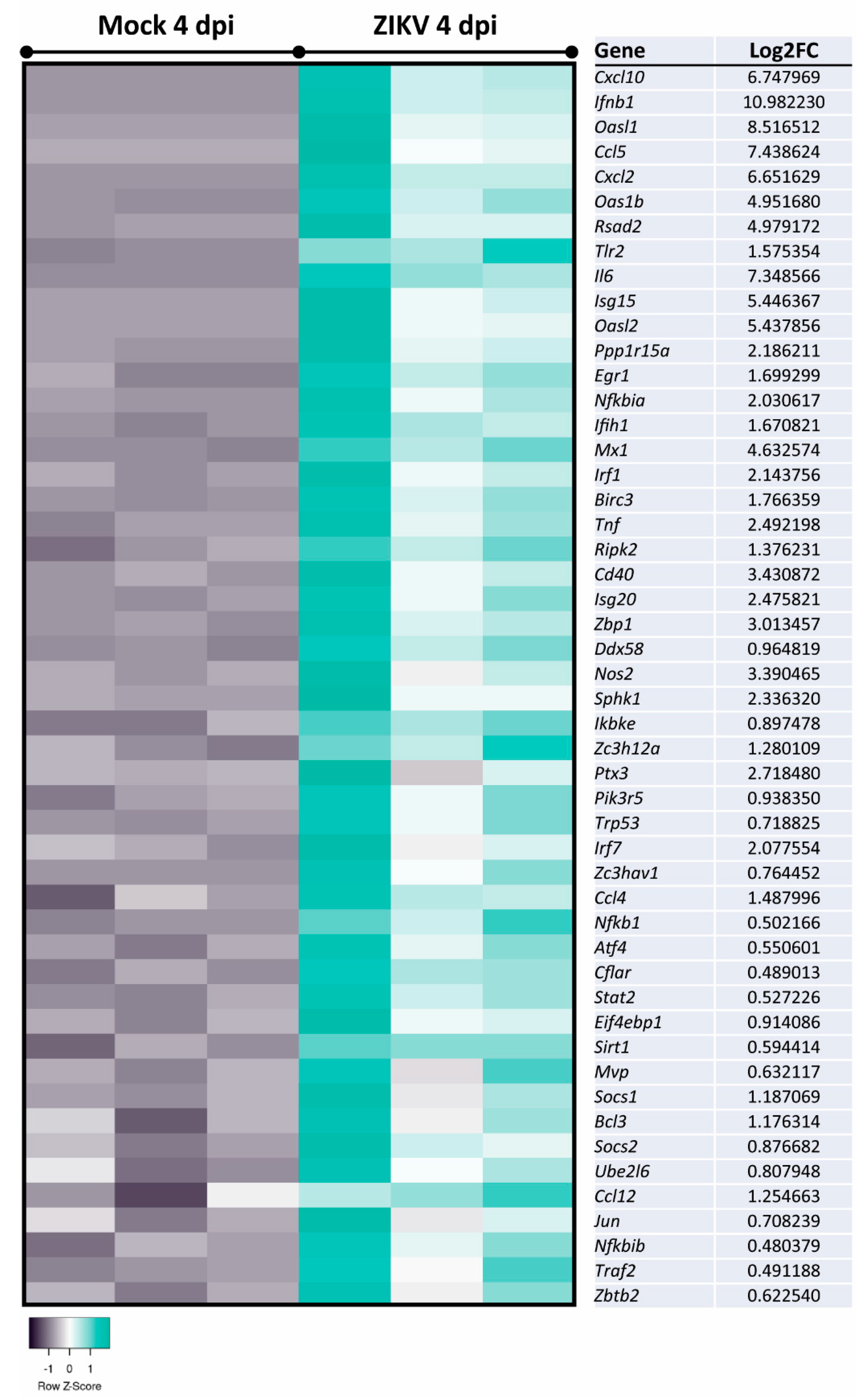 Viruses 13 00091 g006 Viruses 13 00091 g006