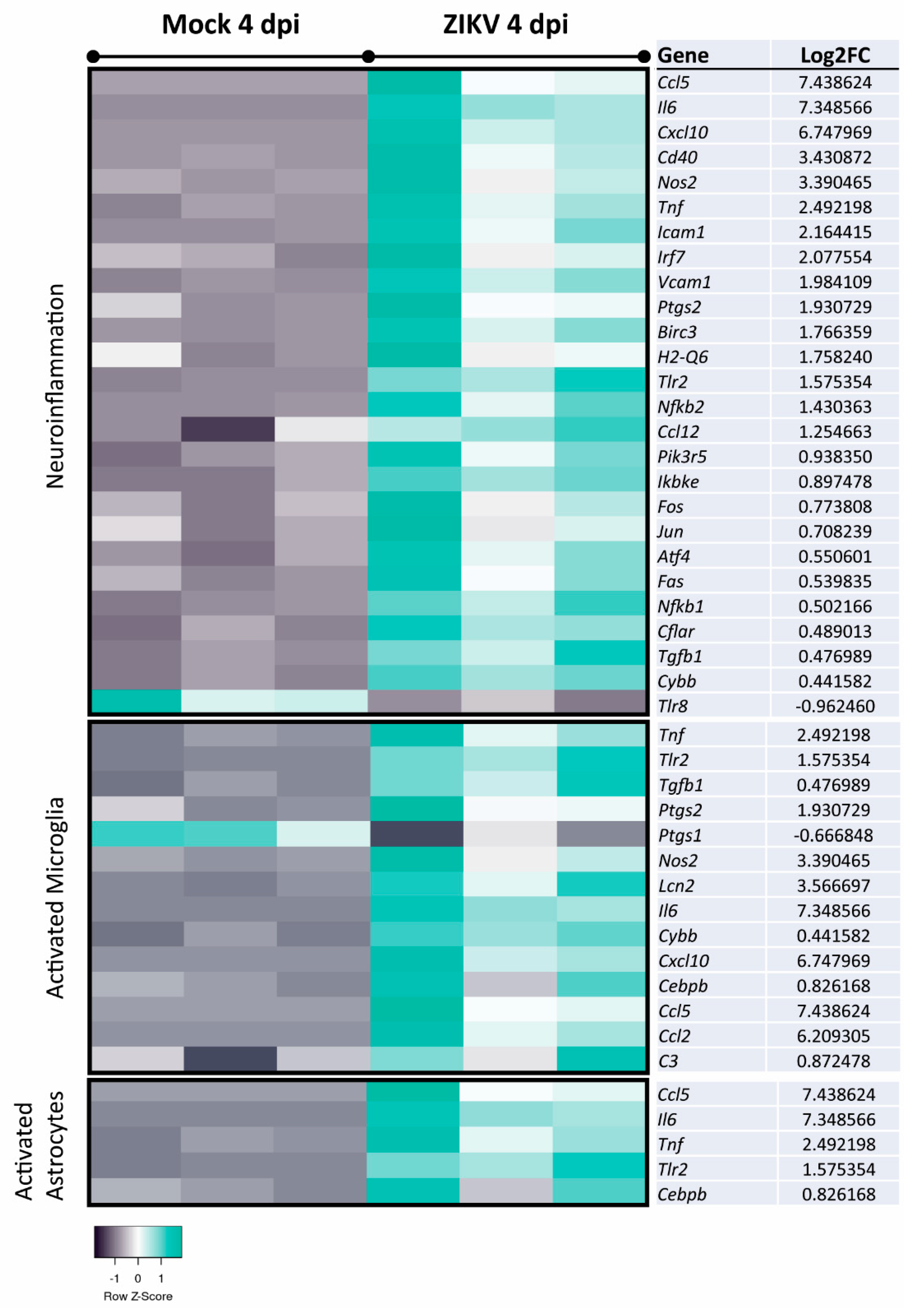 Viruses 13 00091 g007 Viruses 13 00091 g007
