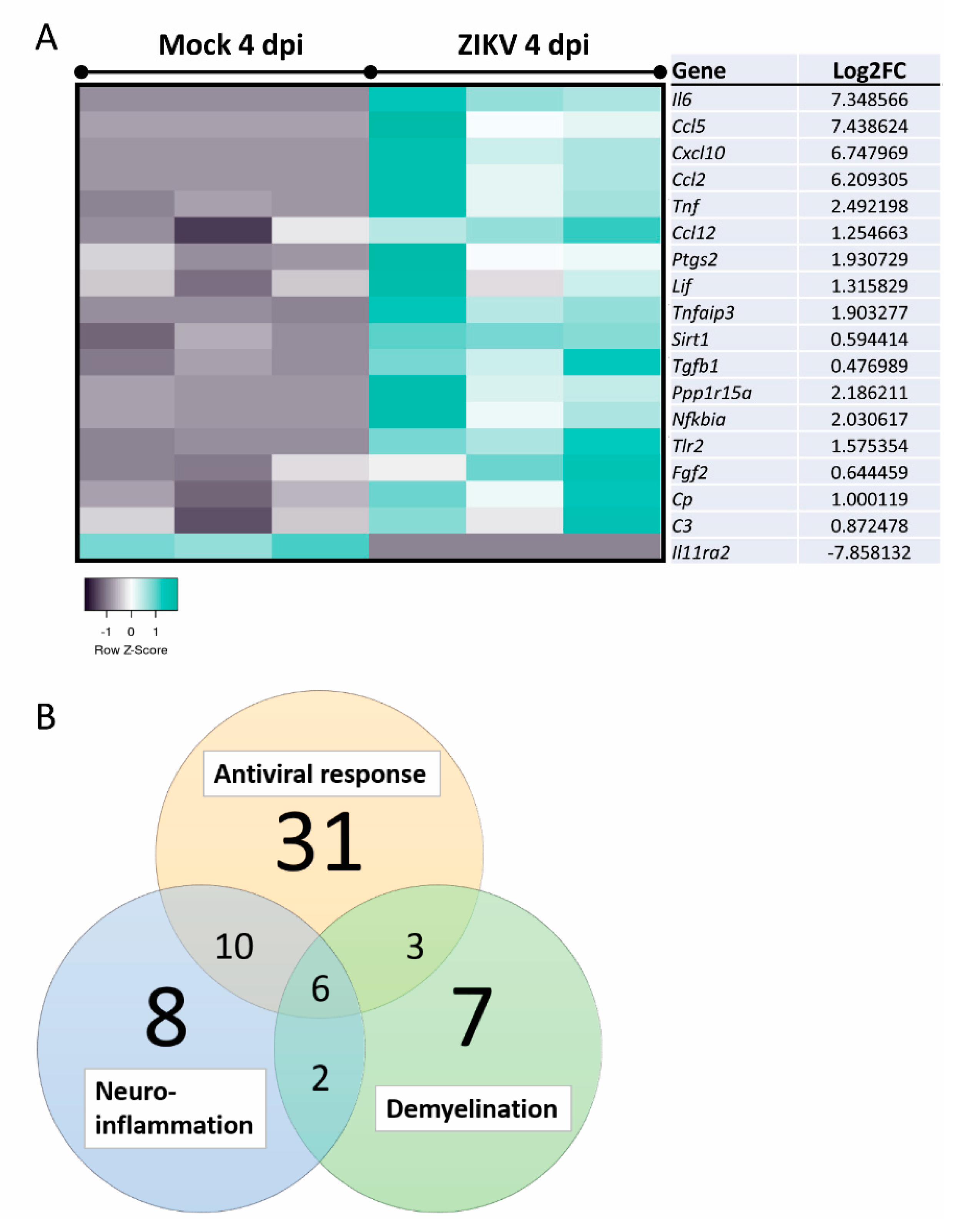 Viruses 13 00091 g008 Viruses 13 00091 g008