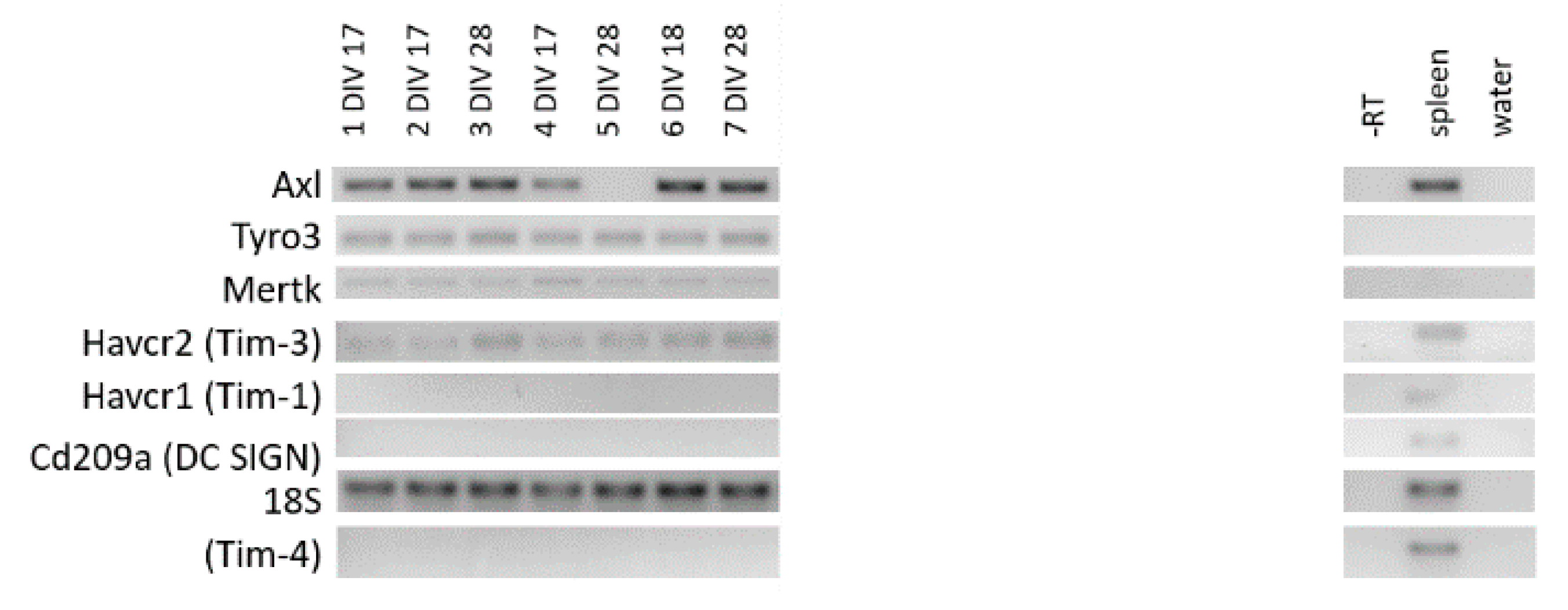 Viruses 13 00091 g0a1 Viruses 13 00091 g0a1