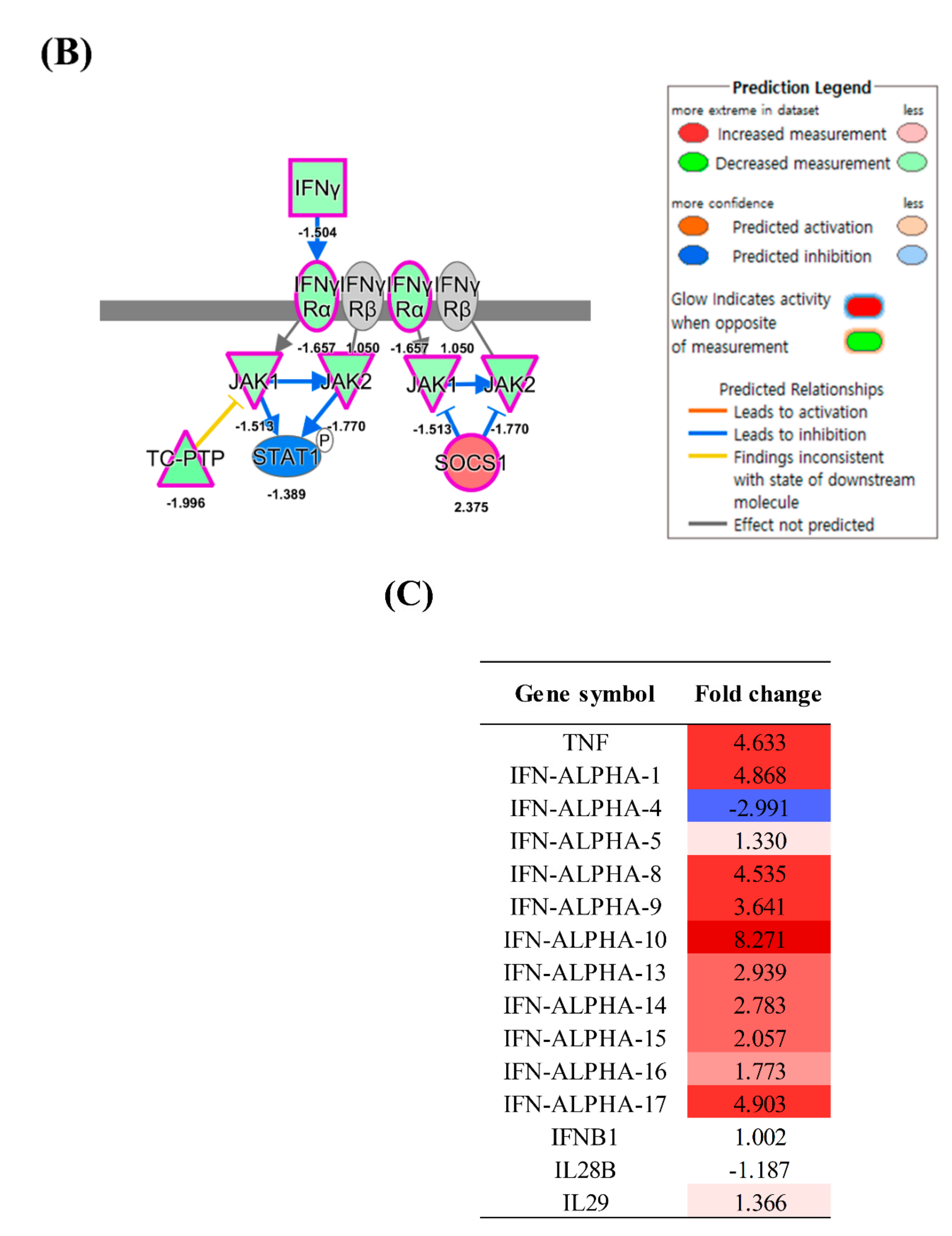 Viruses 13 00092 g002b Viruses 13 00092 g002b