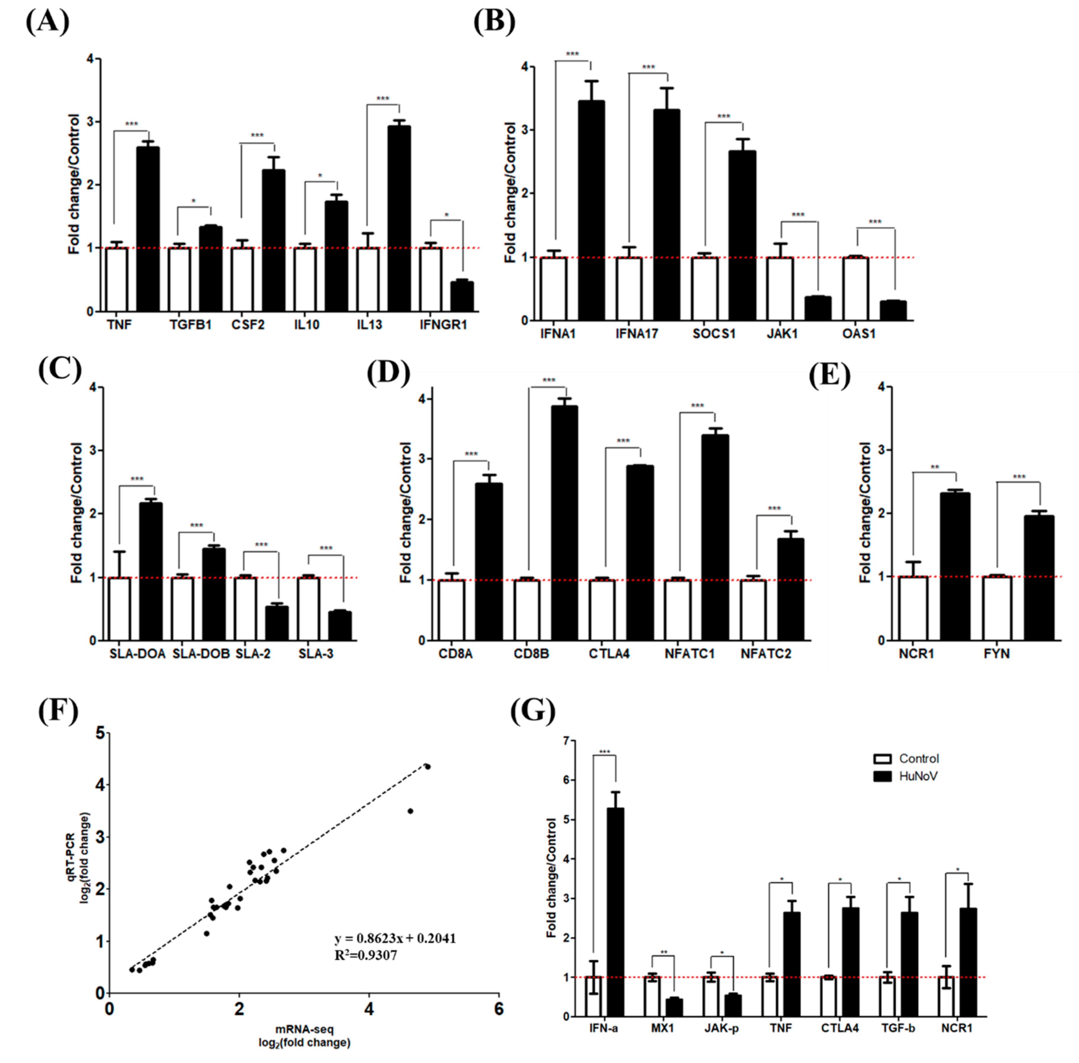 Viruses 13 00092 g005 Viruses 13 00092 g005