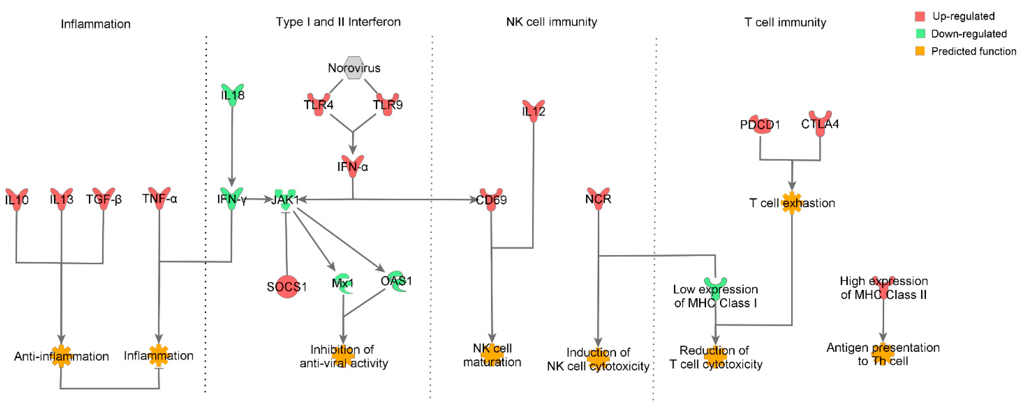 Viruses 13 00092 g006 Viruses 13 00092 g006