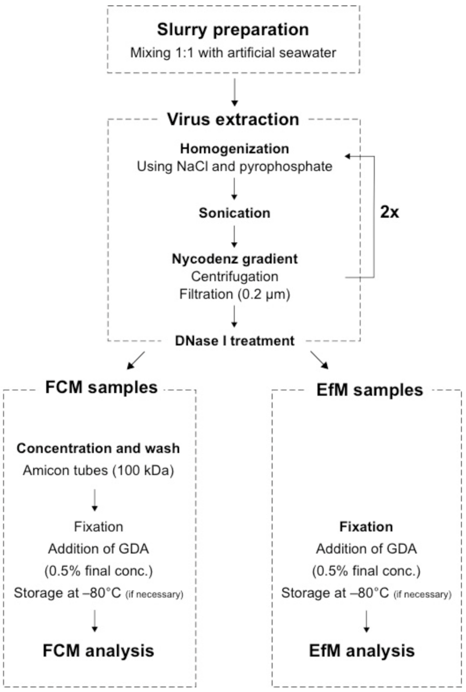 Viruses 13 00102 g001 Viruses 13 00102 g001