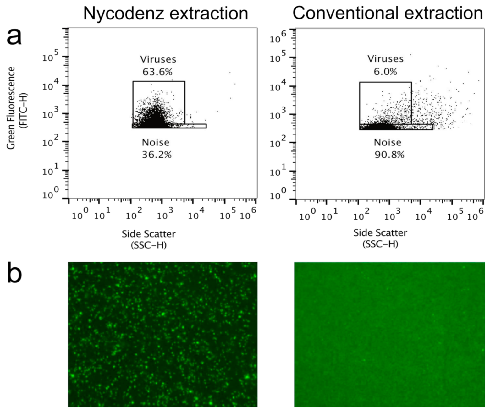 Viruses 13 00102 g002 Viruses 13 00102 g002