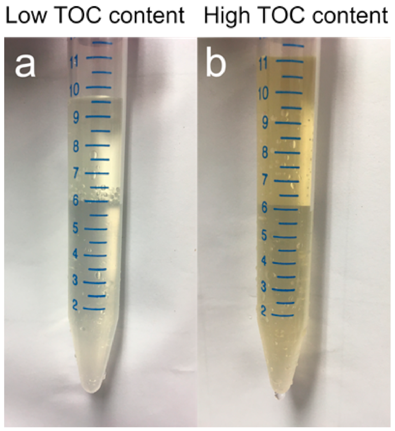 Viruses 13 00102 g005 Viruses 13 00102 g005