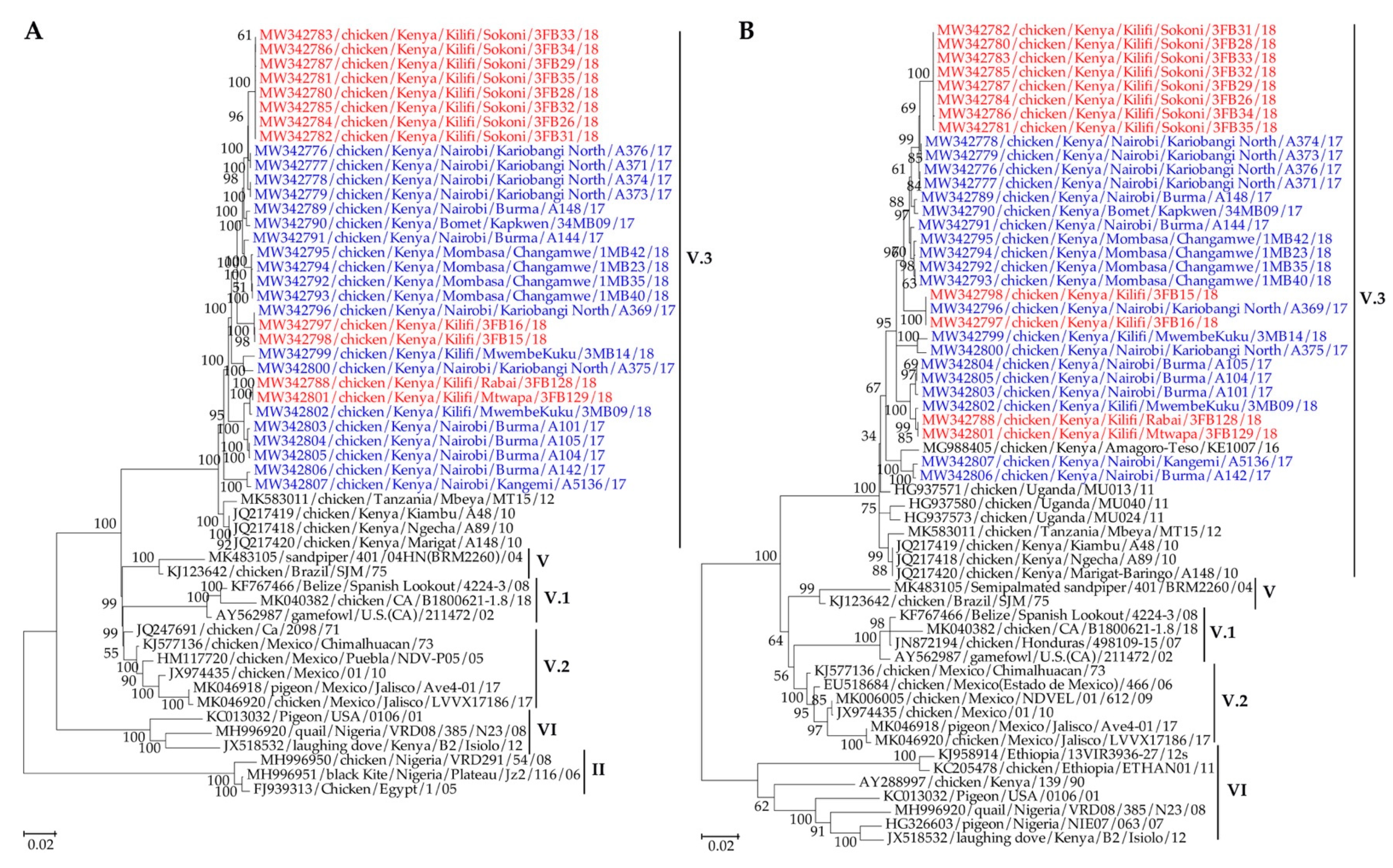 Viruses 13 00103 g003