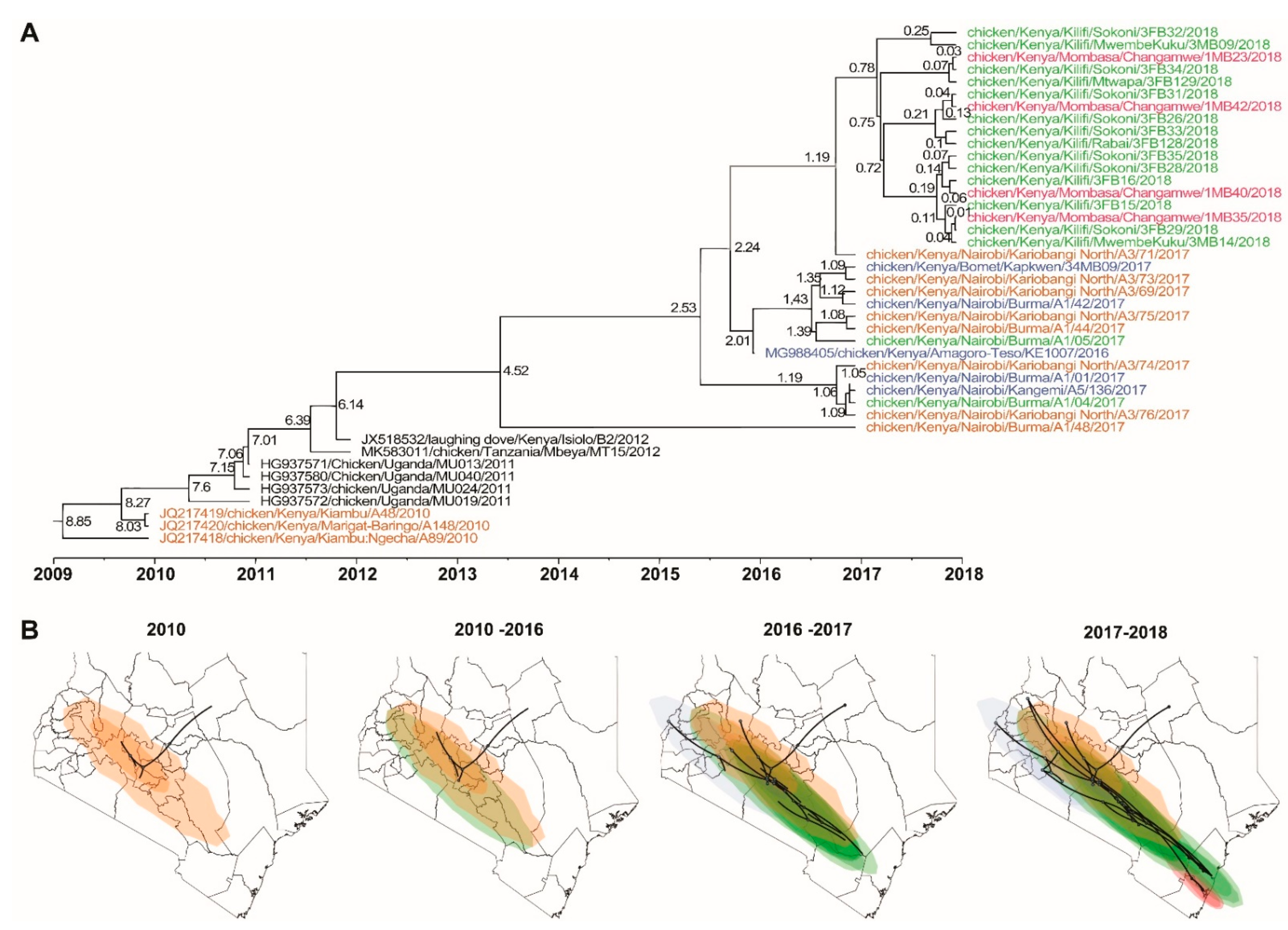 Viruses 13 00103 g004