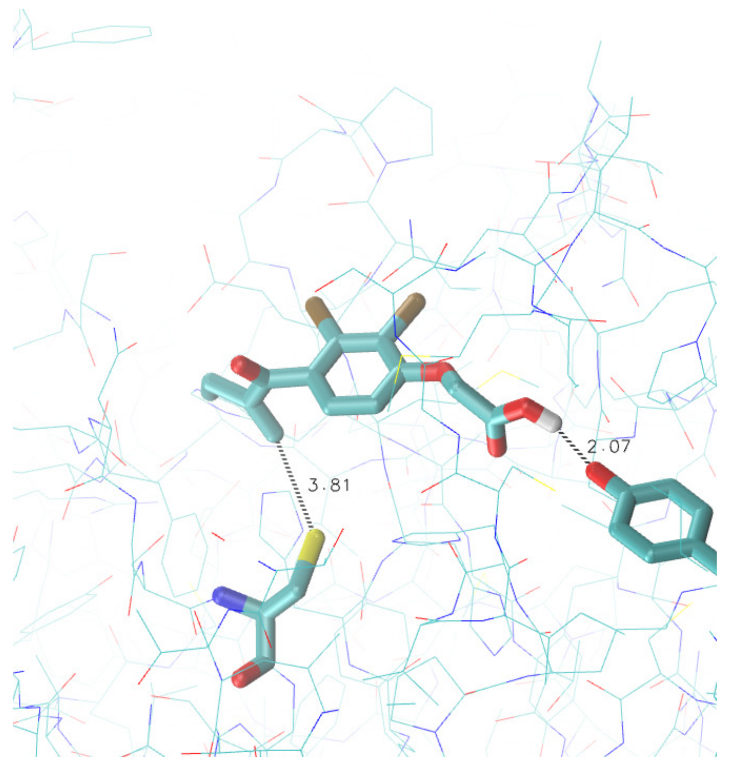 Viruses 13 00106 g002