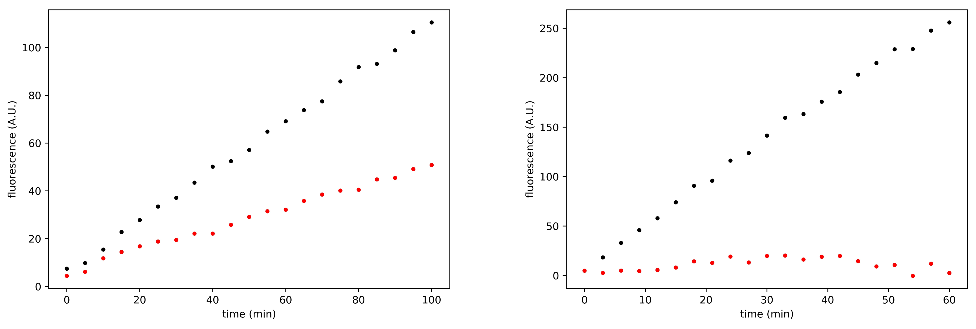 Viruses 13 00106 g004