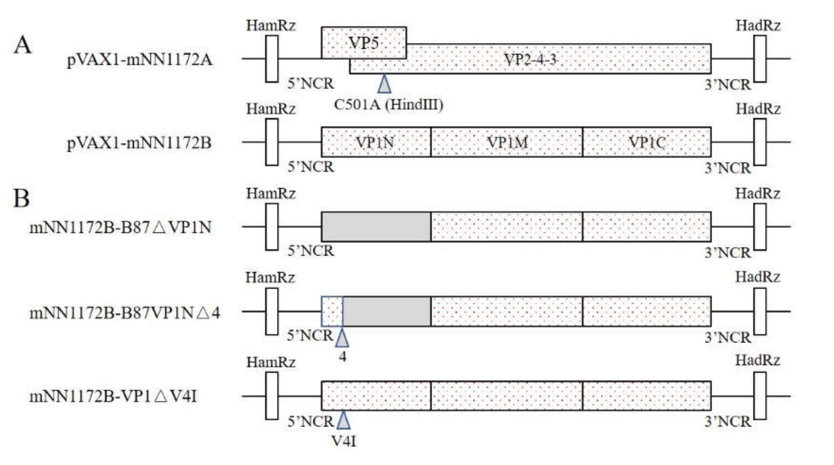 Viruses 13 00107 g001