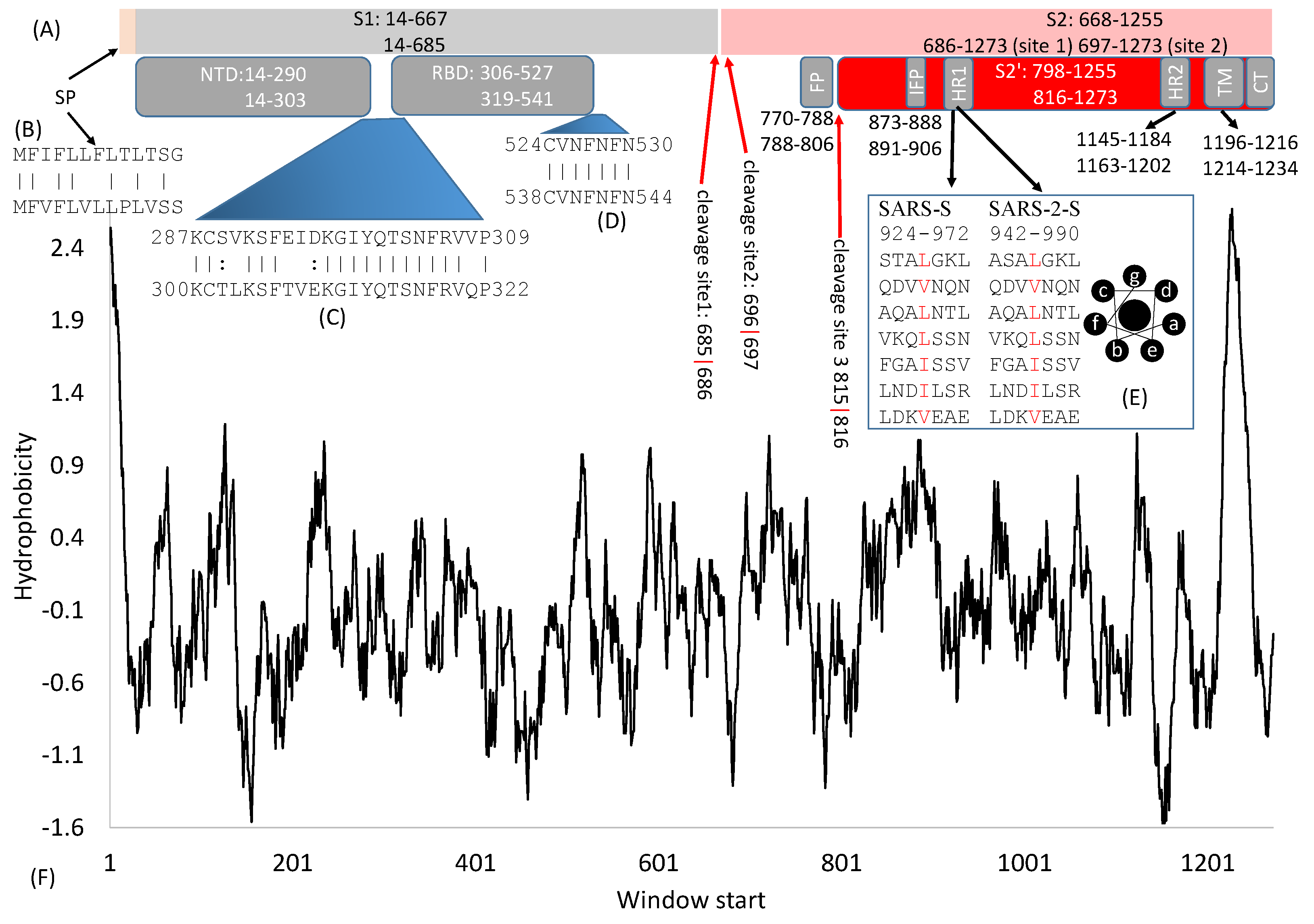 Viruses 13 00109 g001