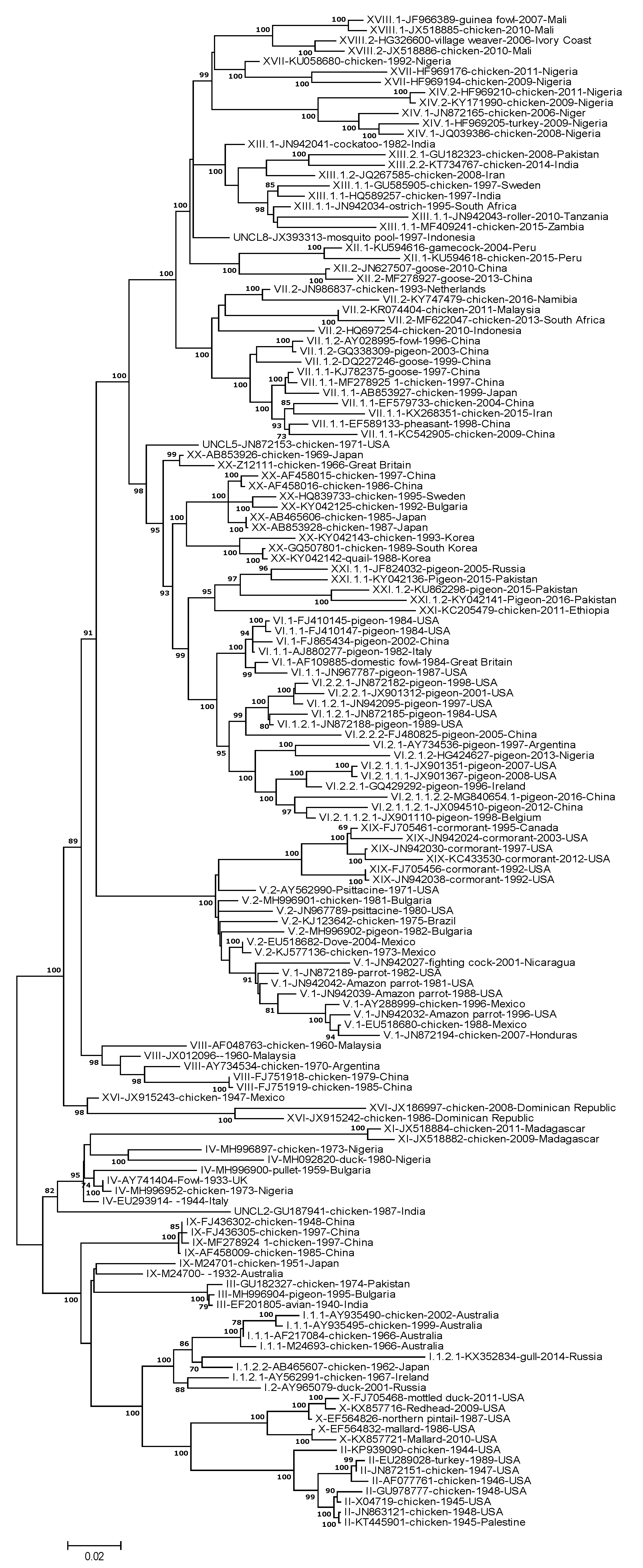 Viruses 13 00110 g004 Viruses 13 00110 g004