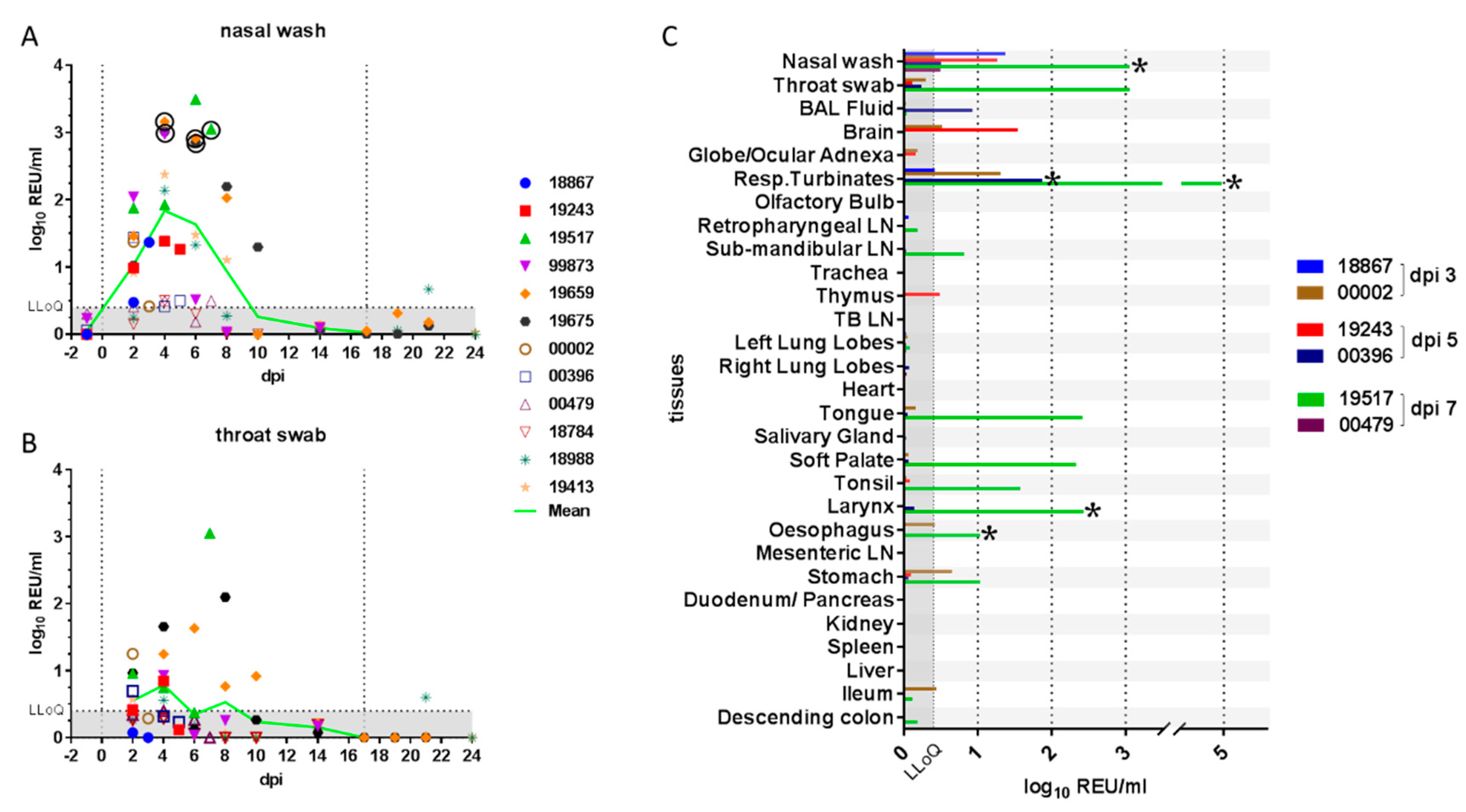 Viruses 13 00113 g001