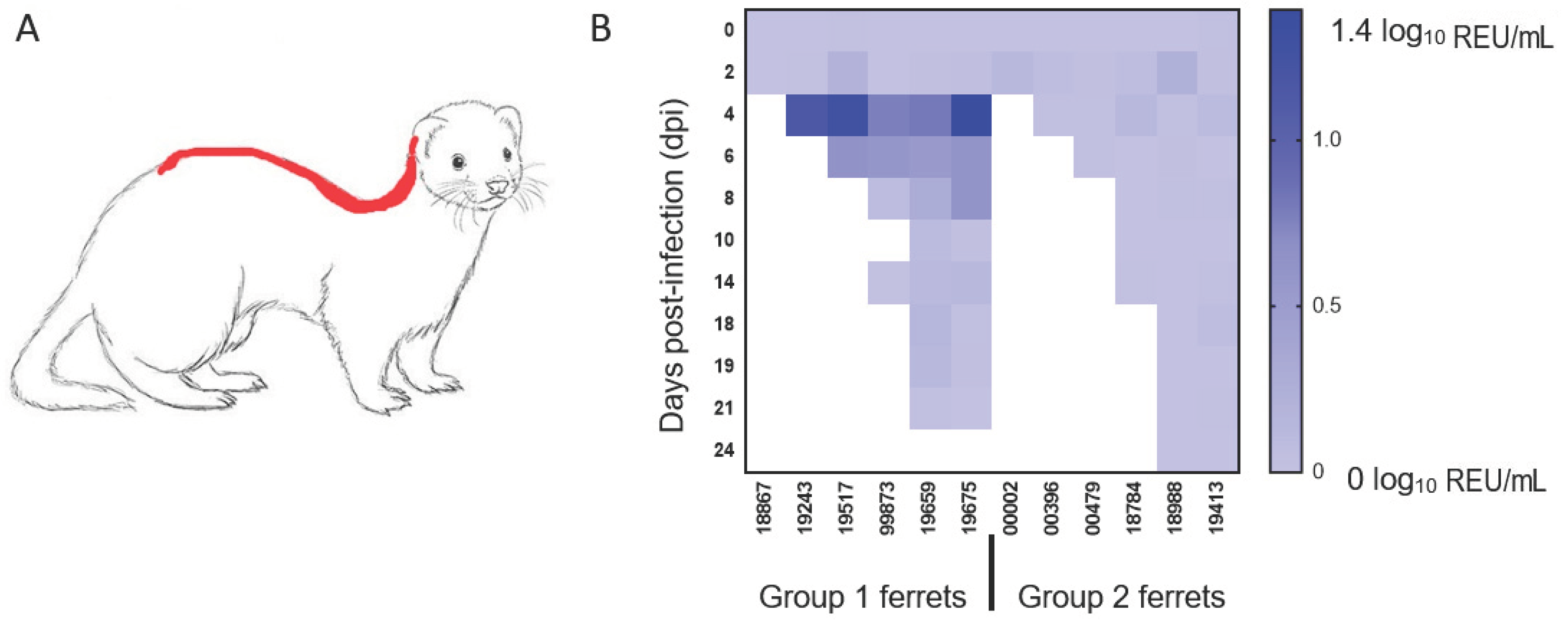 Viruses 13 00113 g003