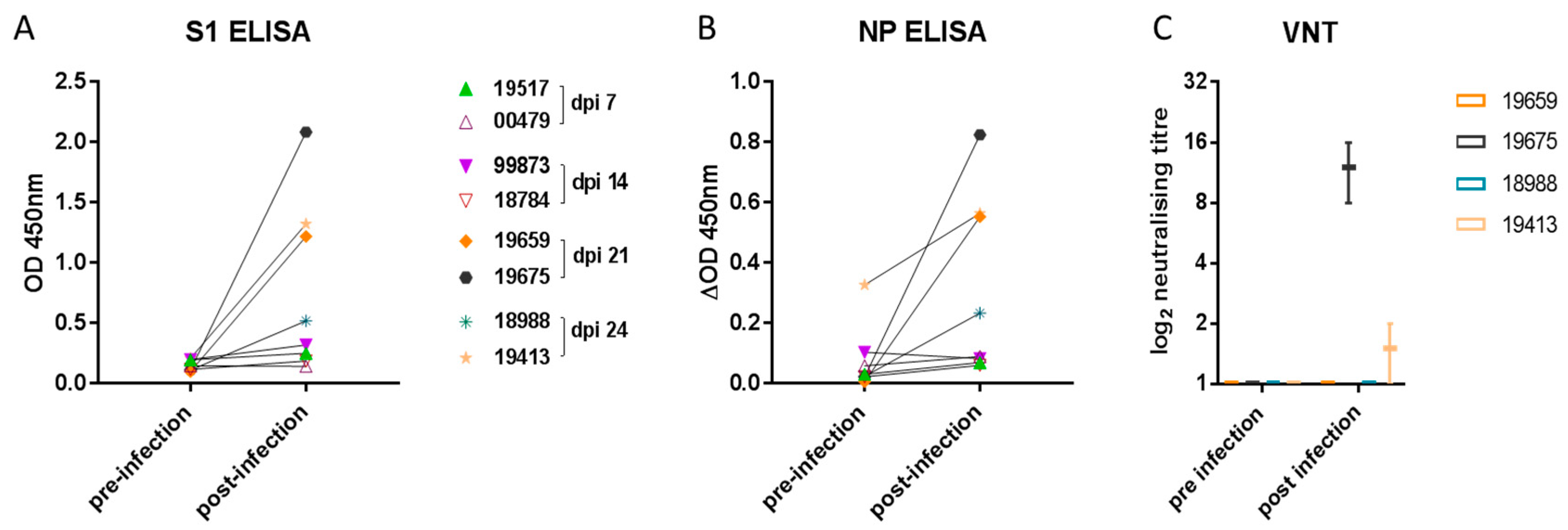 Viruses 13 00113 g004