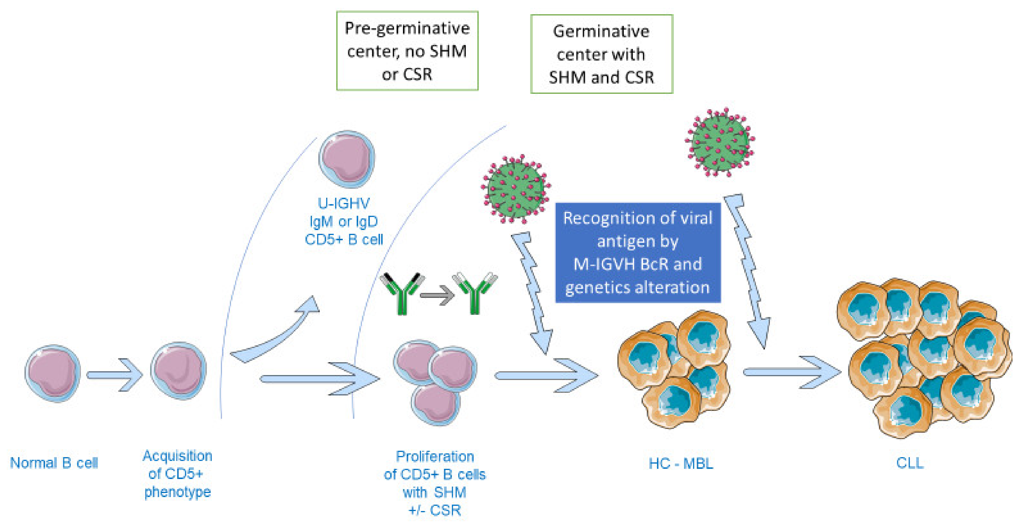 Viruses 13 00115 g001
