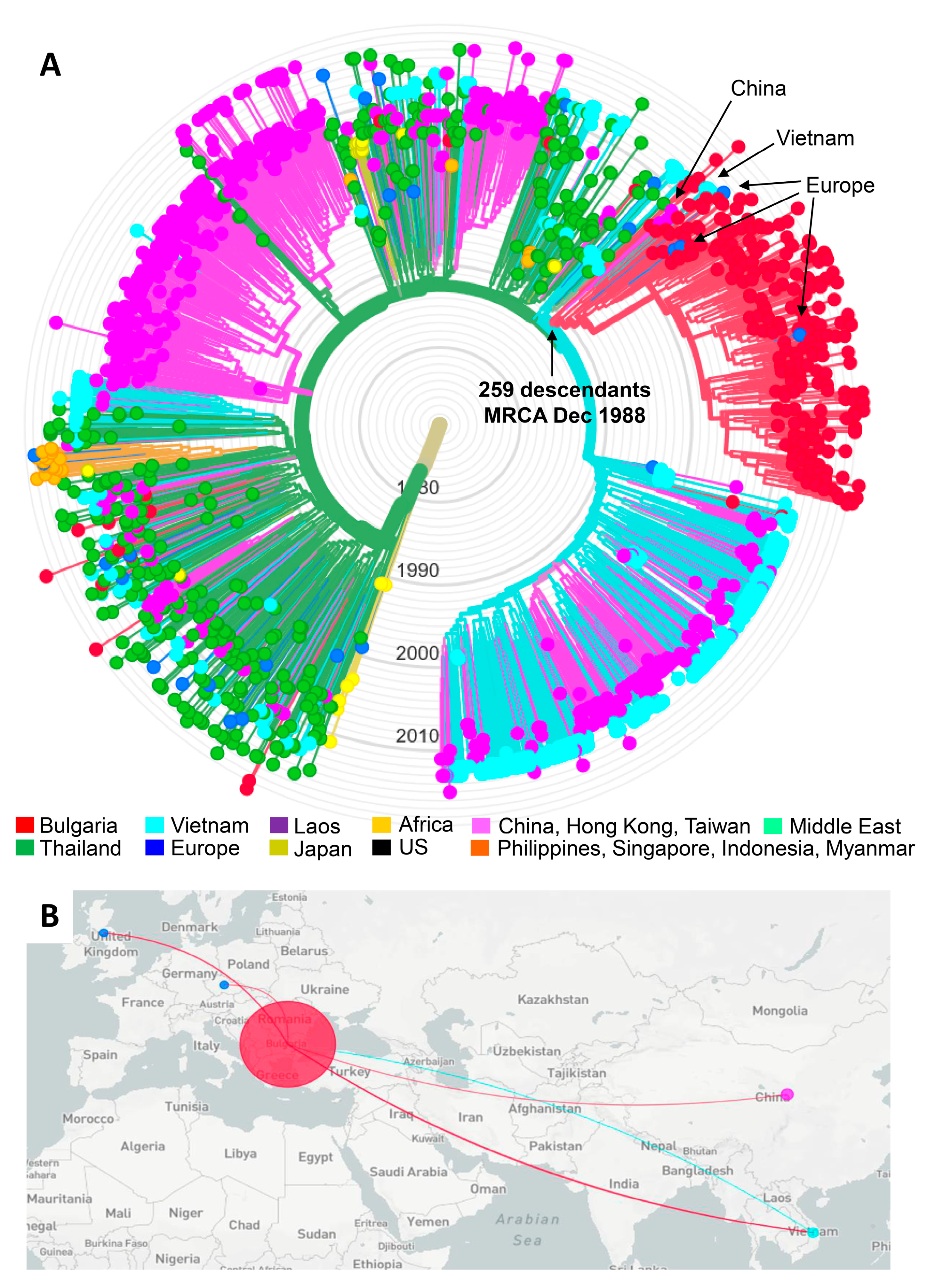 Viruses 13 00116 g003 Viruses 13 00116 g003