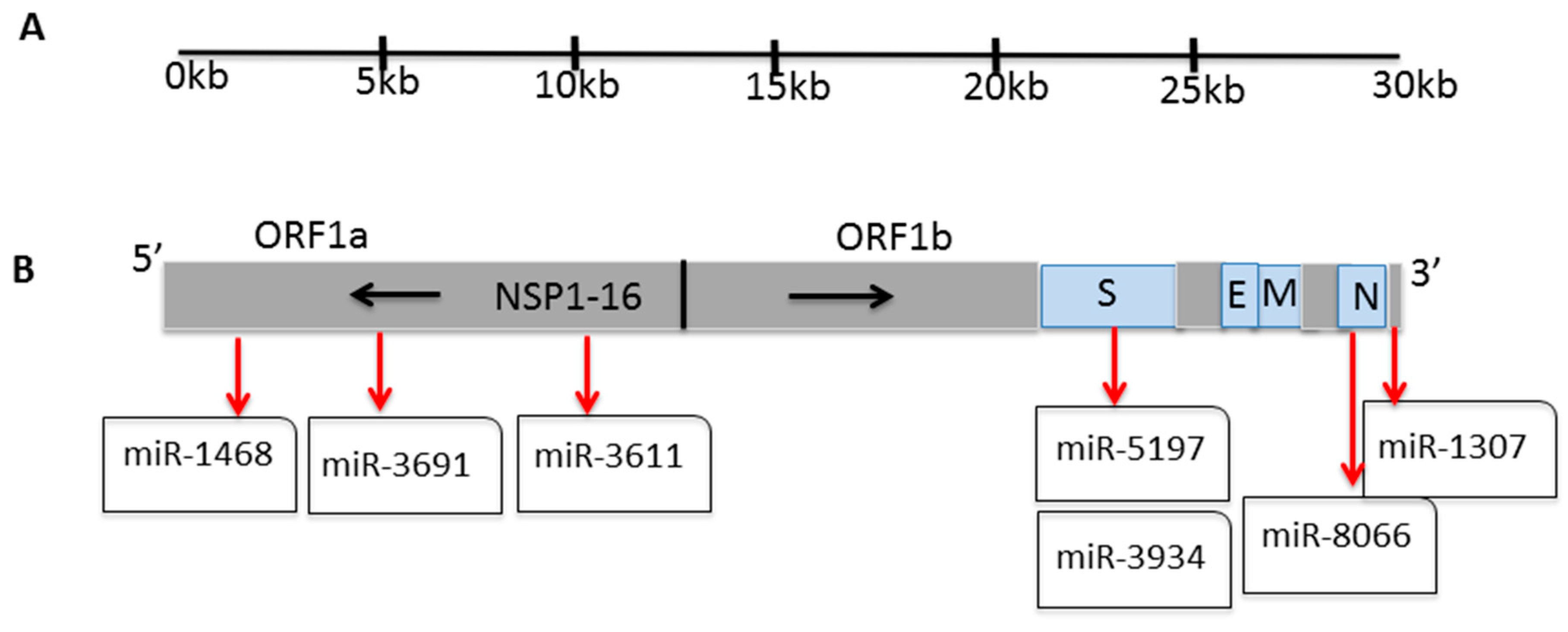Viruses 13 00117 g001 Viruses 13 00117 g001