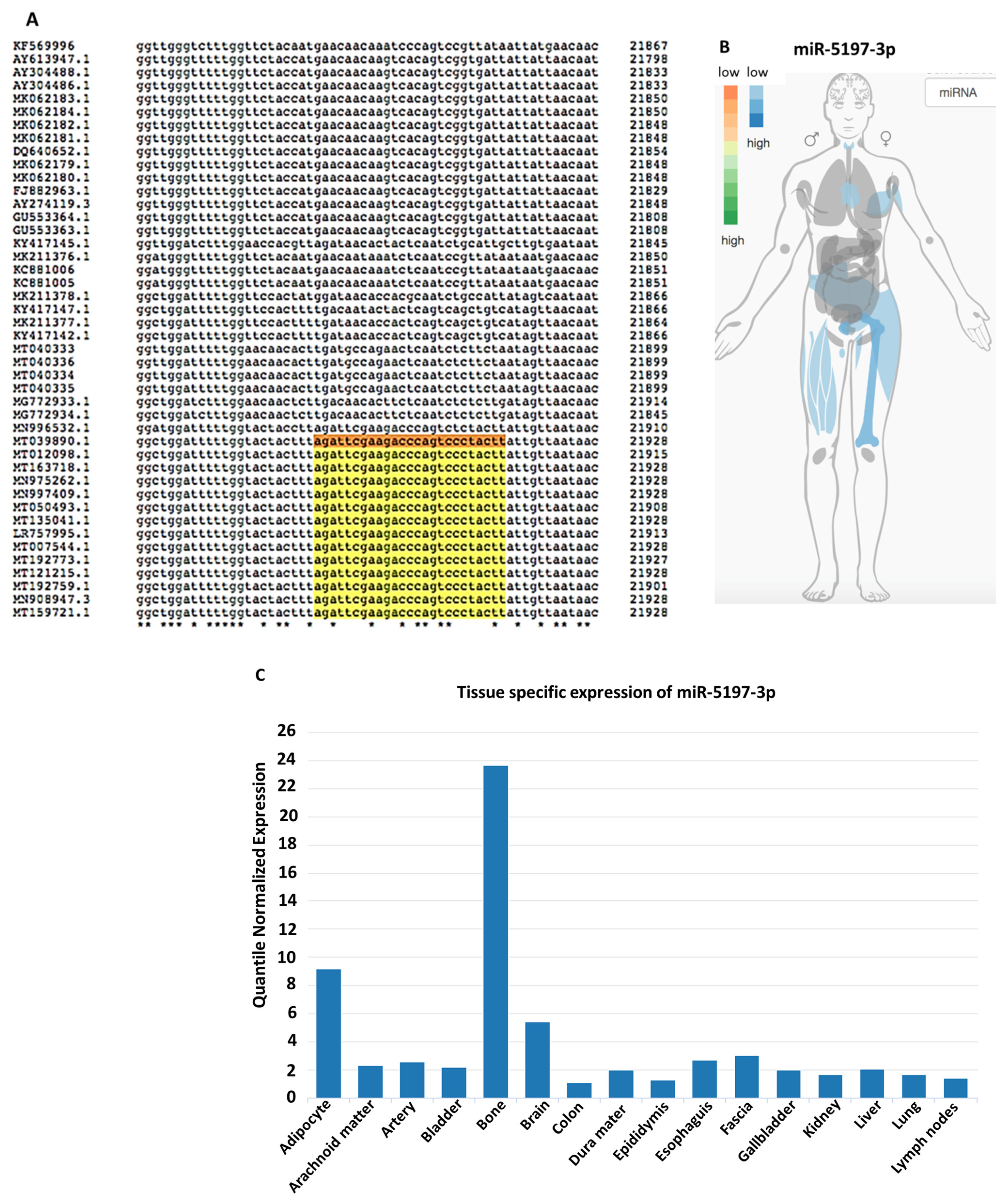 Viruses 13 00117 g003a Viruses 13 00117 g003a