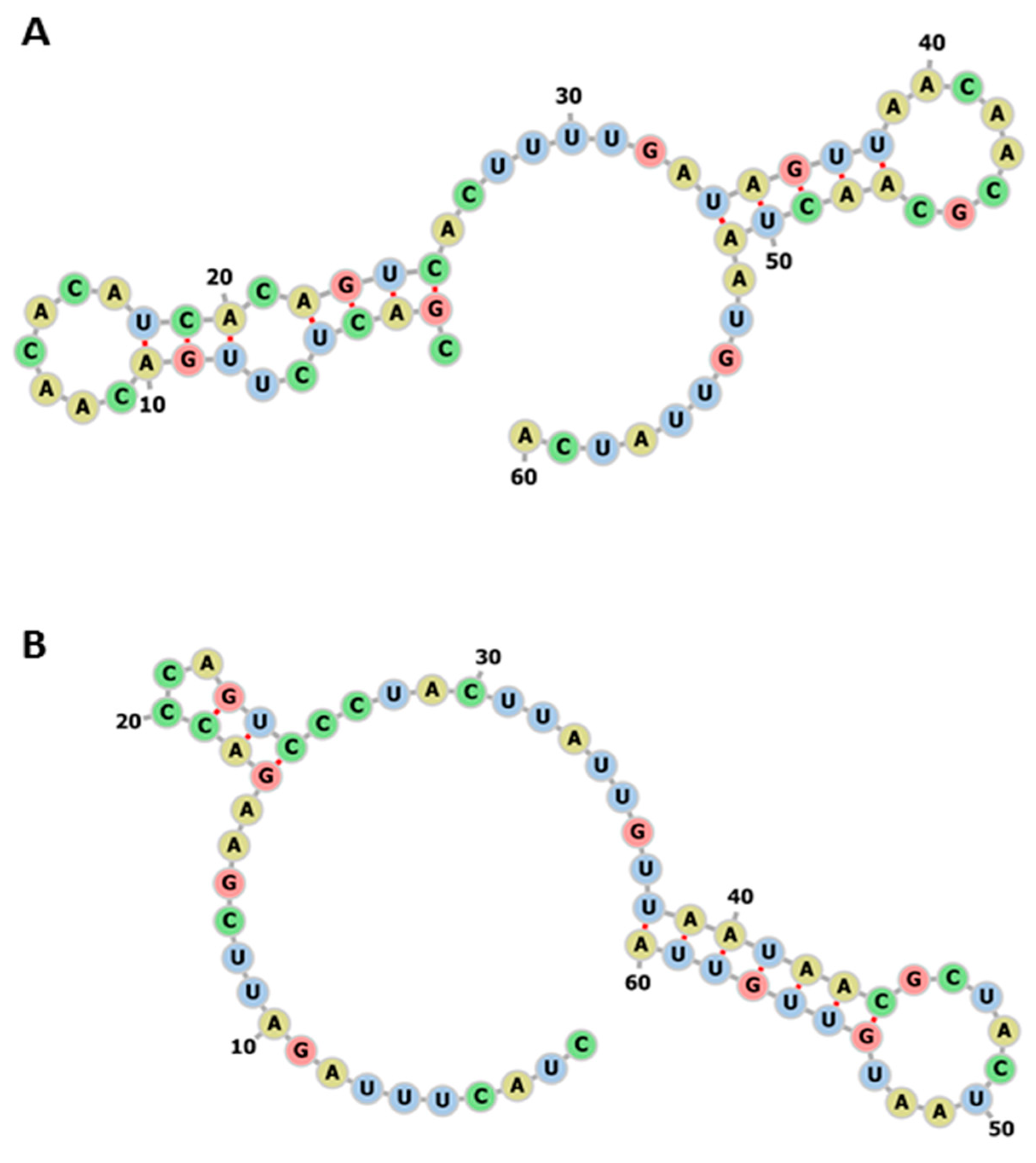 Viruses 13 00117 g005 Viruses 13 00117 g005