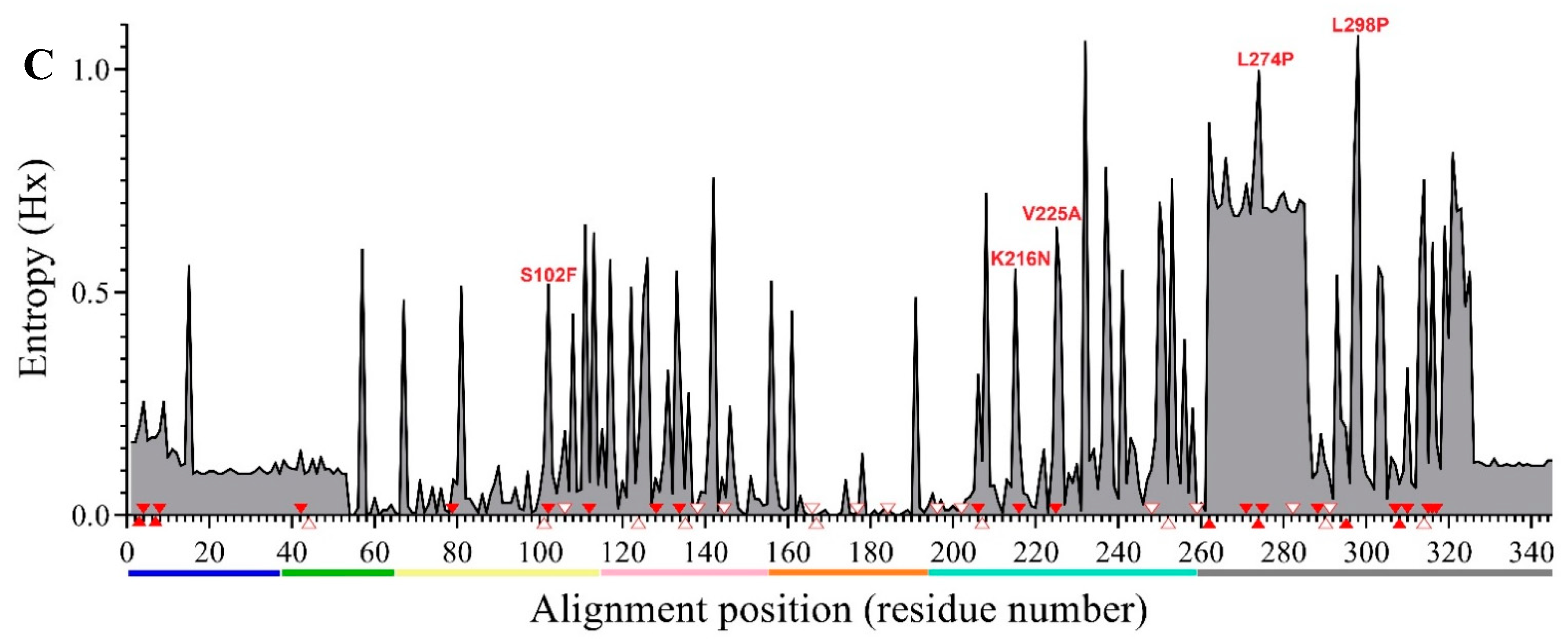 Viruses 13 00119 g002b