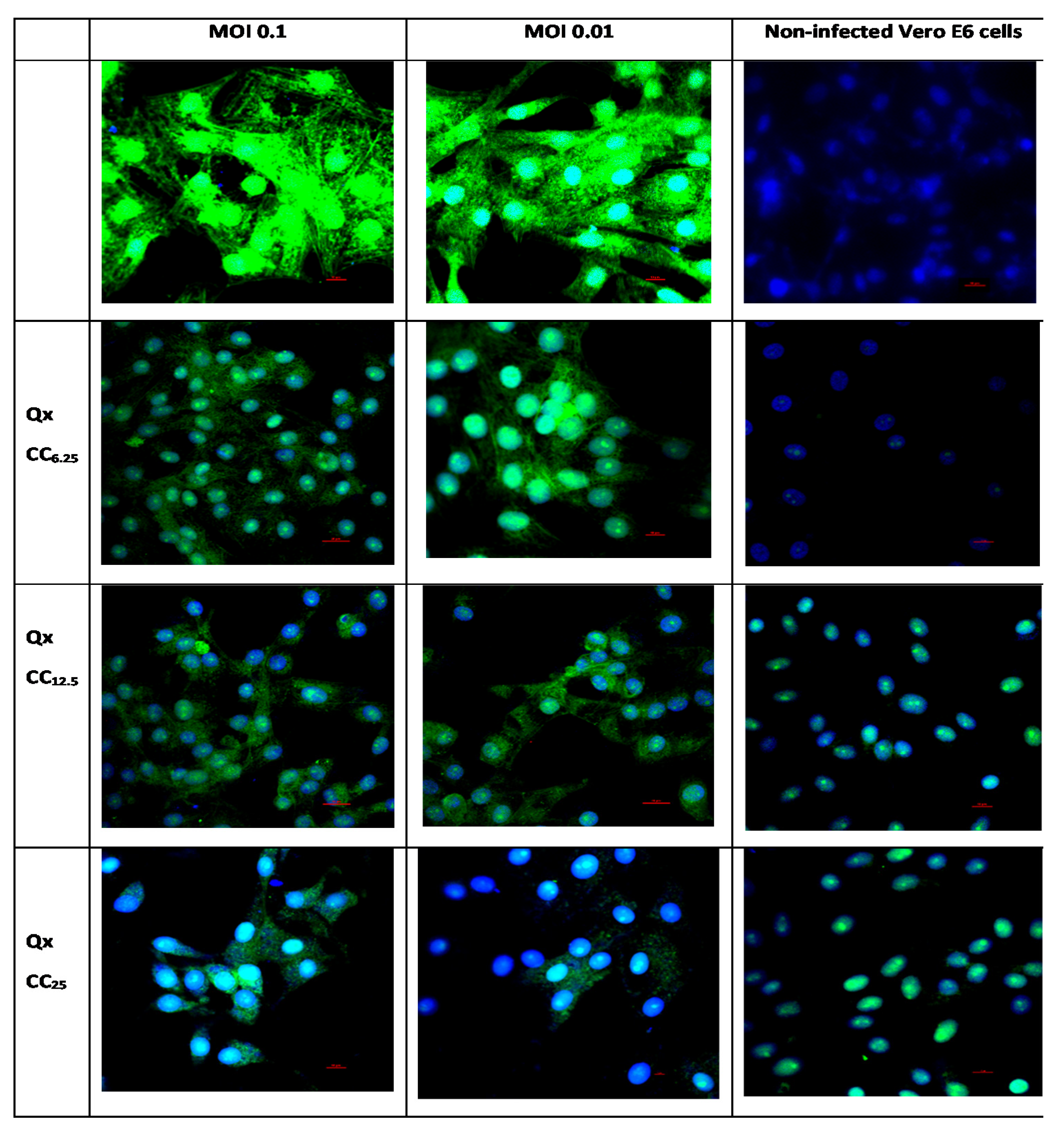 Viruses 13 00121 g006
