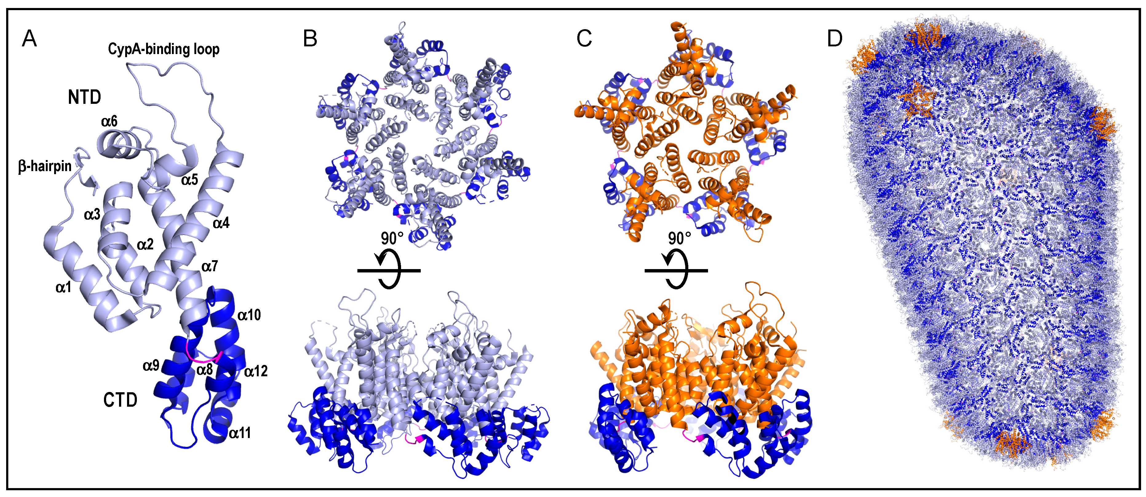Viruses 13 00125 g002 Viruses 13 00125 g002