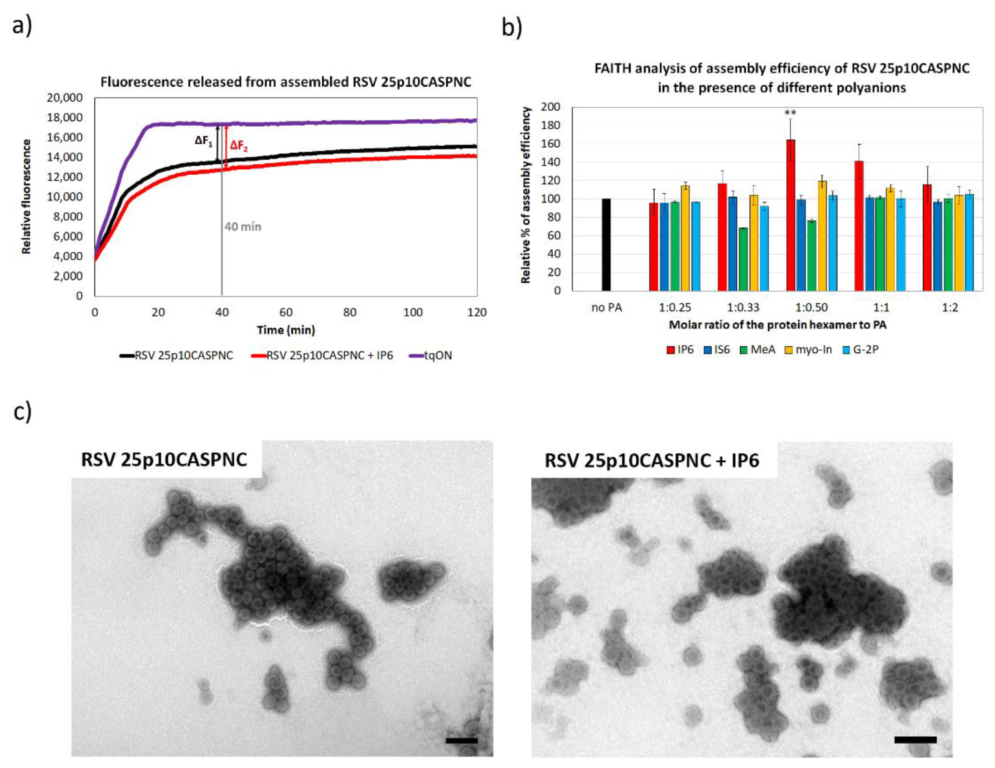 Viruses 13 00129 g002
