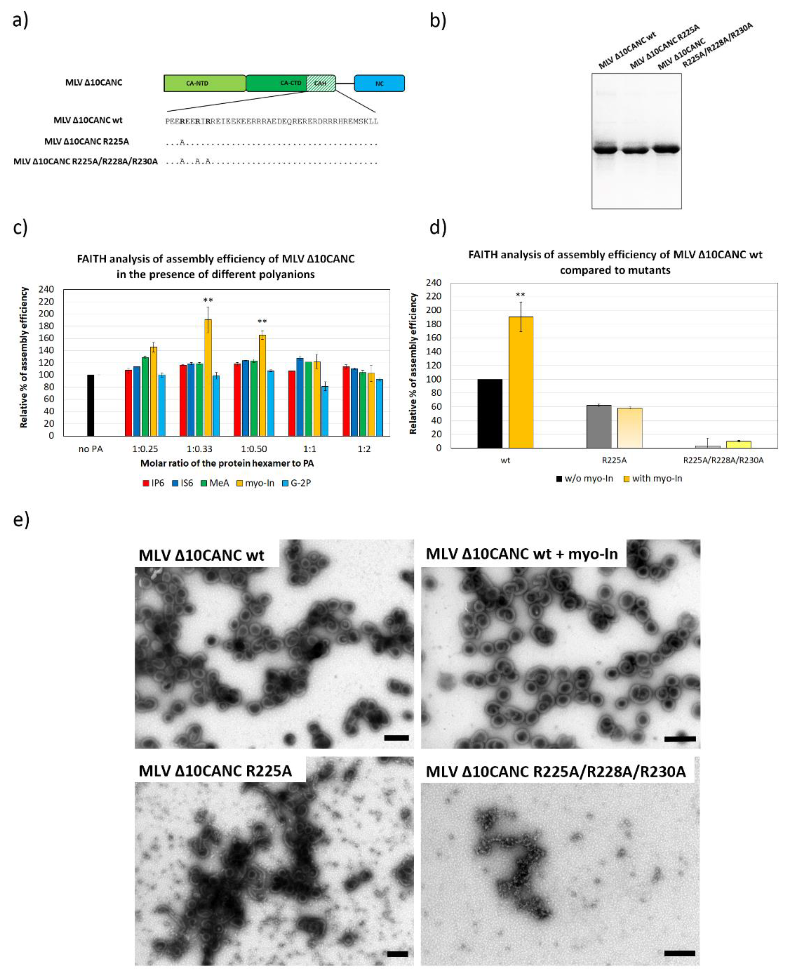 Viruses 13 00129 g003