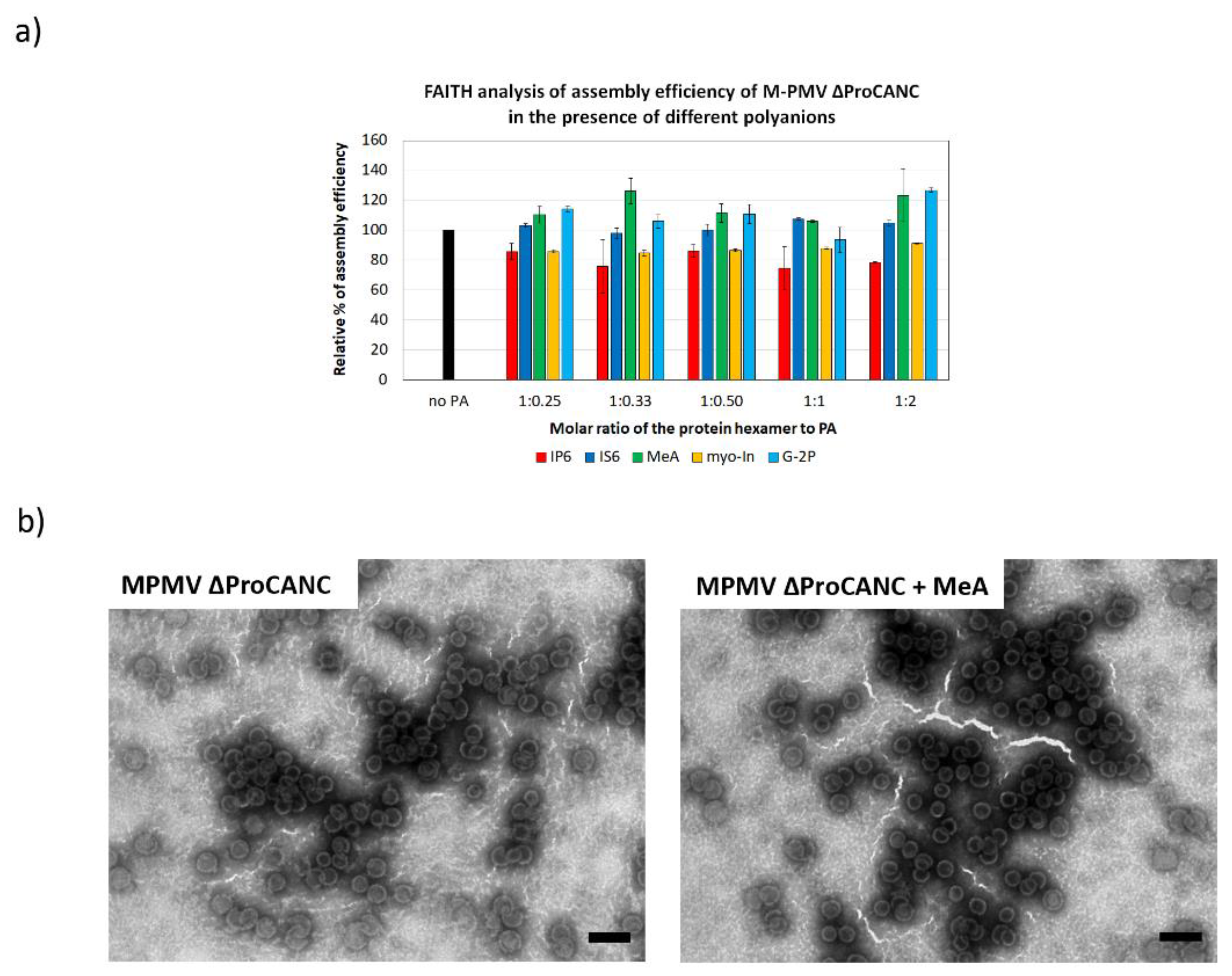 Viruses 13 00129 g004
