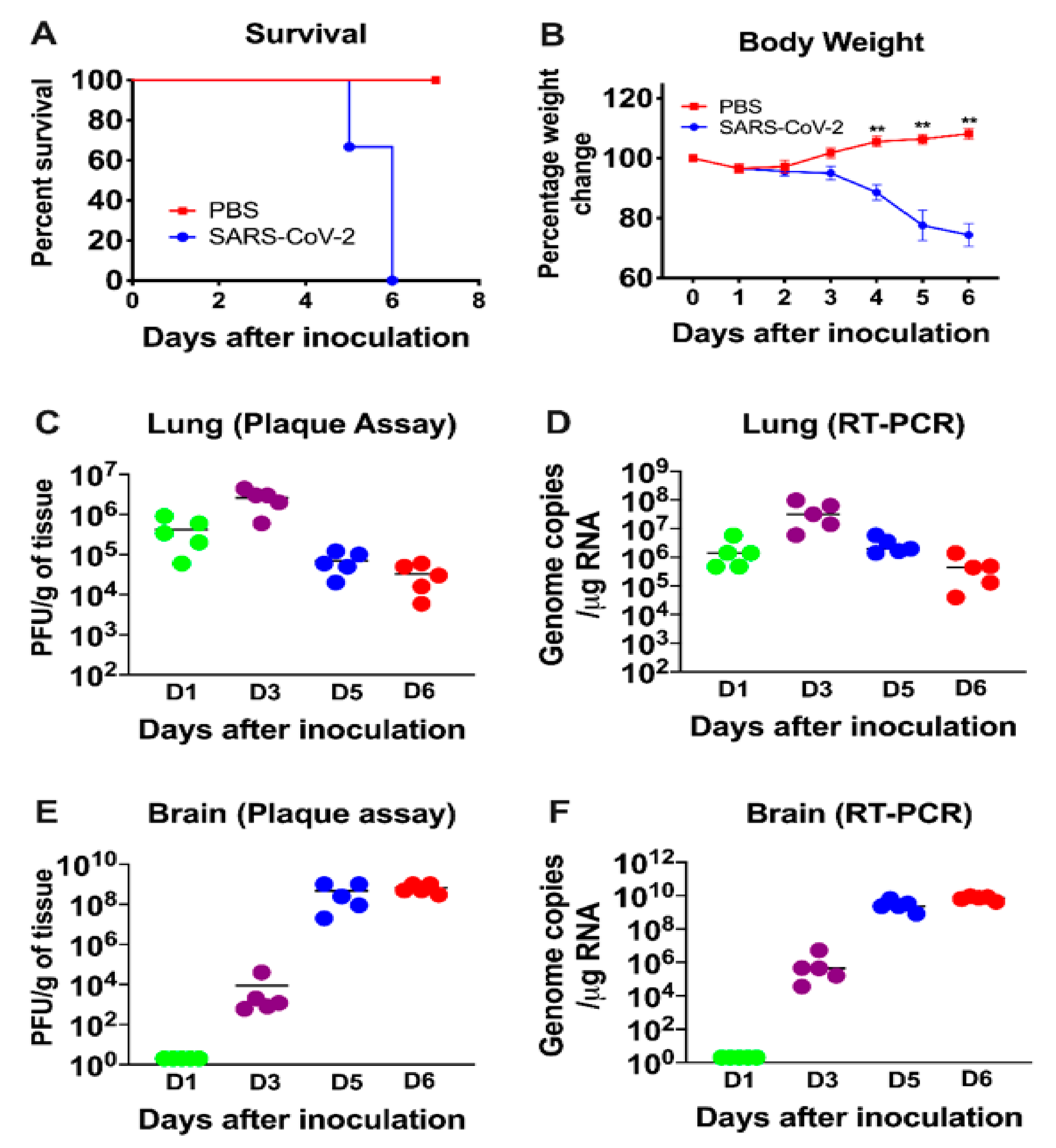 Viruses 13 00132 g001