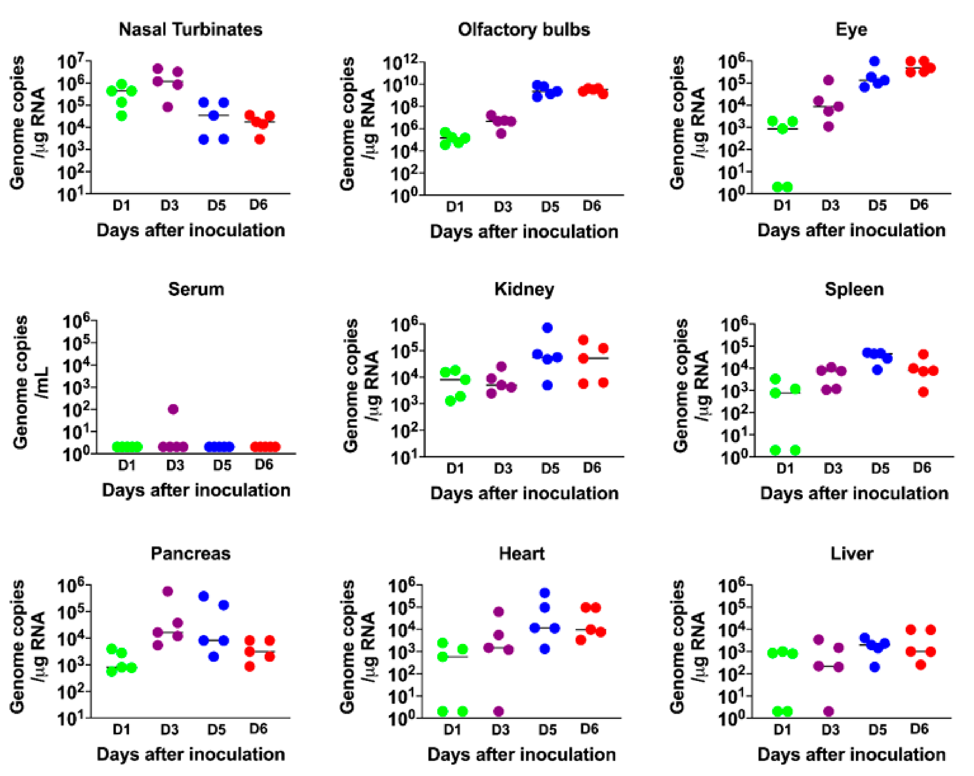 Viruses 13 00132 g002