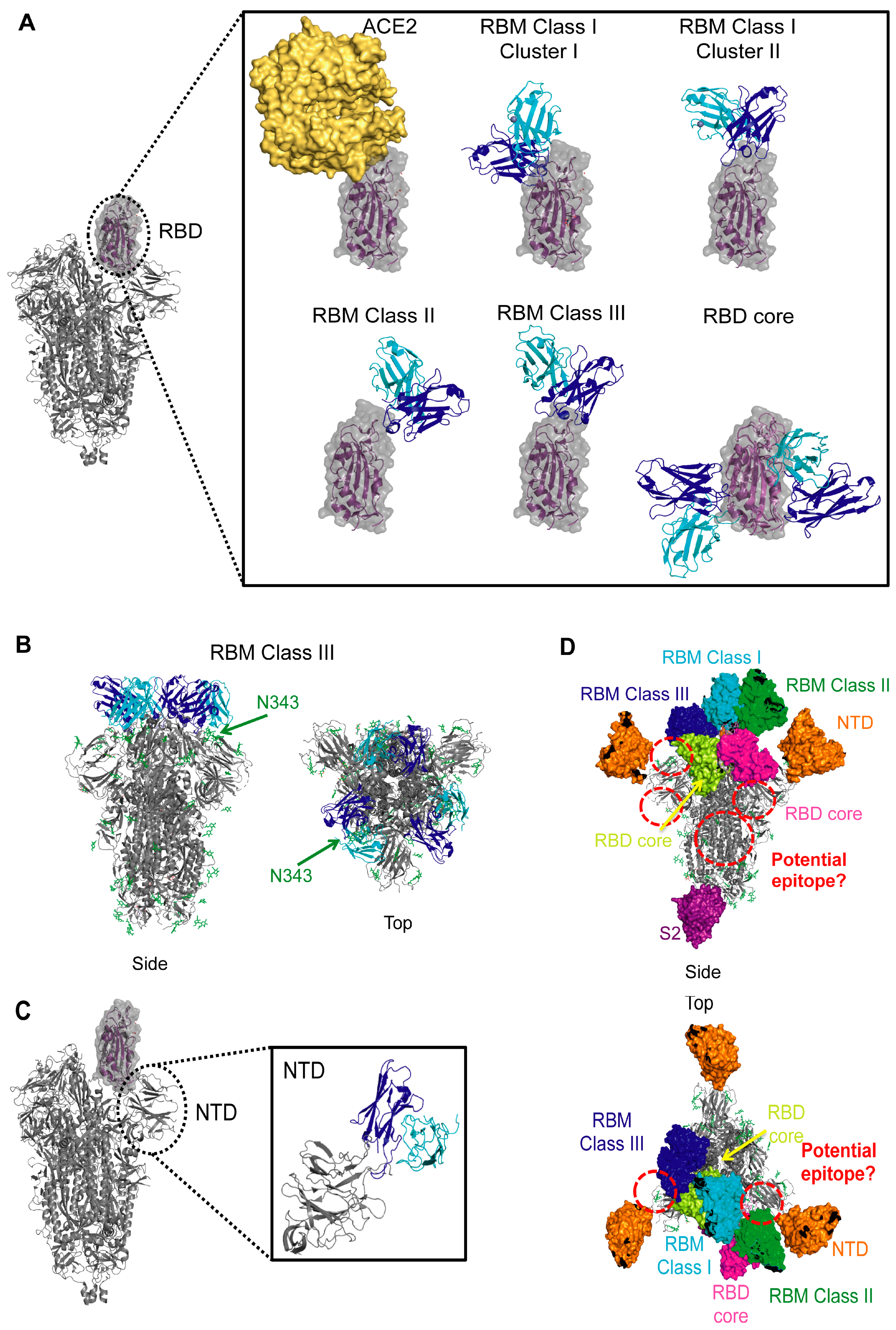 Viruses 13 00134 g003 Viruses 13 00134 g003