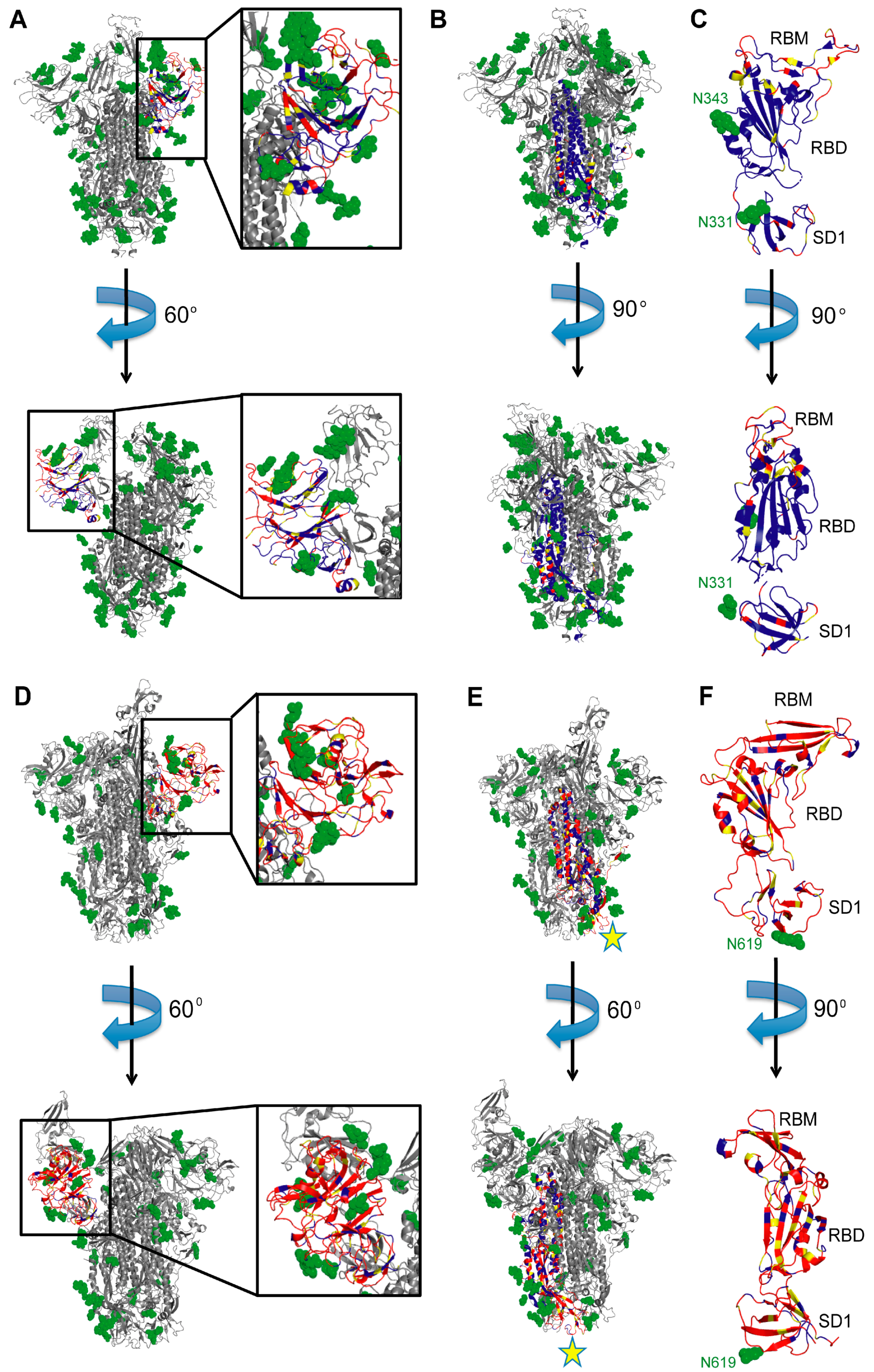 Viruses 13 00134 g004 Viruses 13 00134 g004