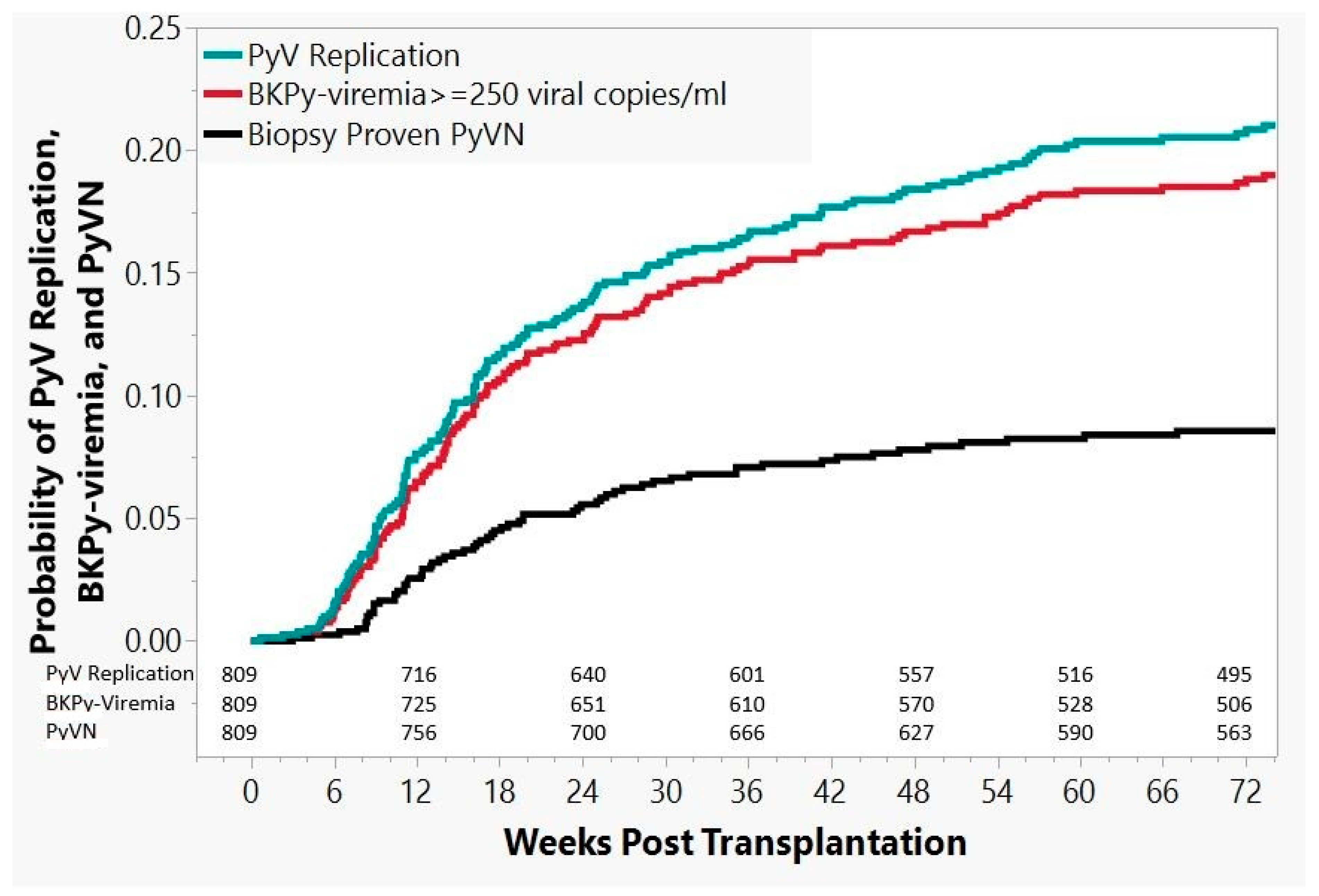 Viruses 13 00135 g005