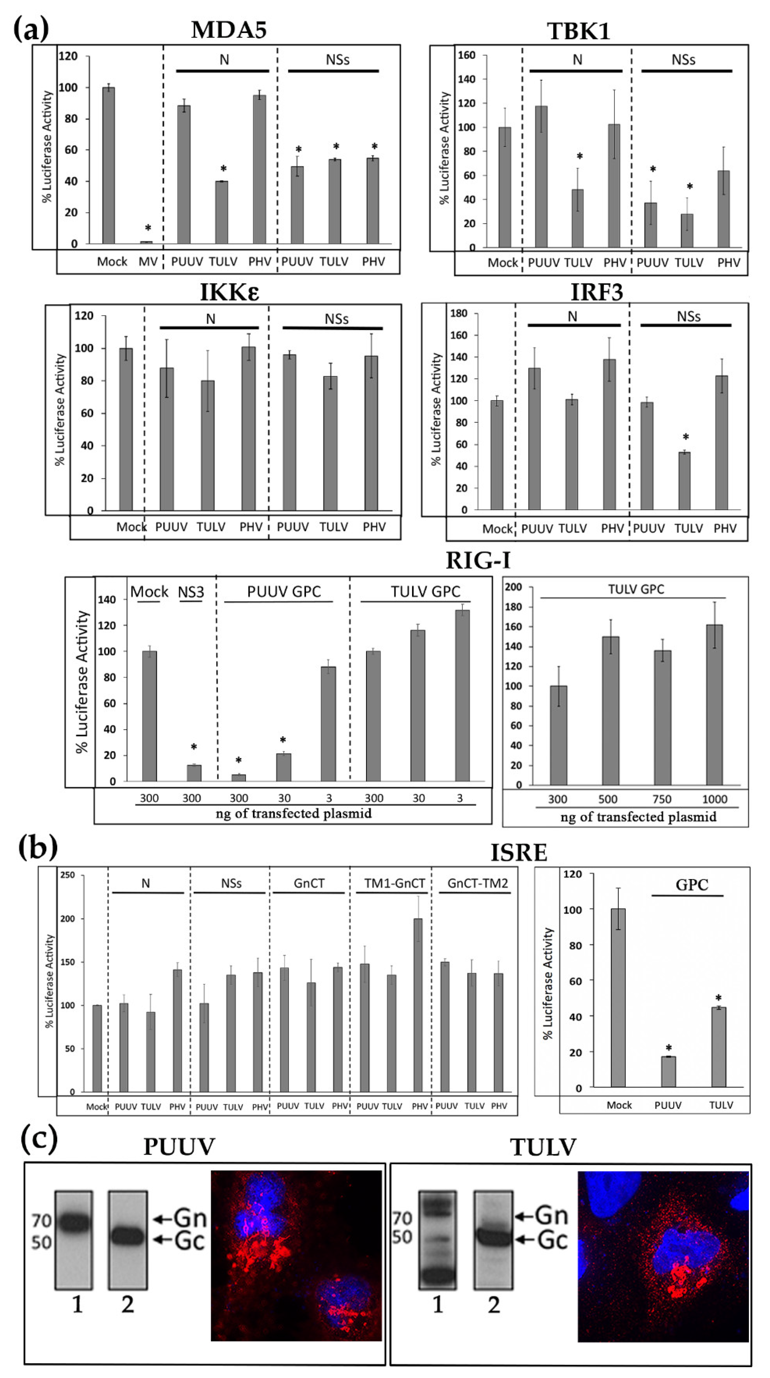 Viruses 13 00140 g002