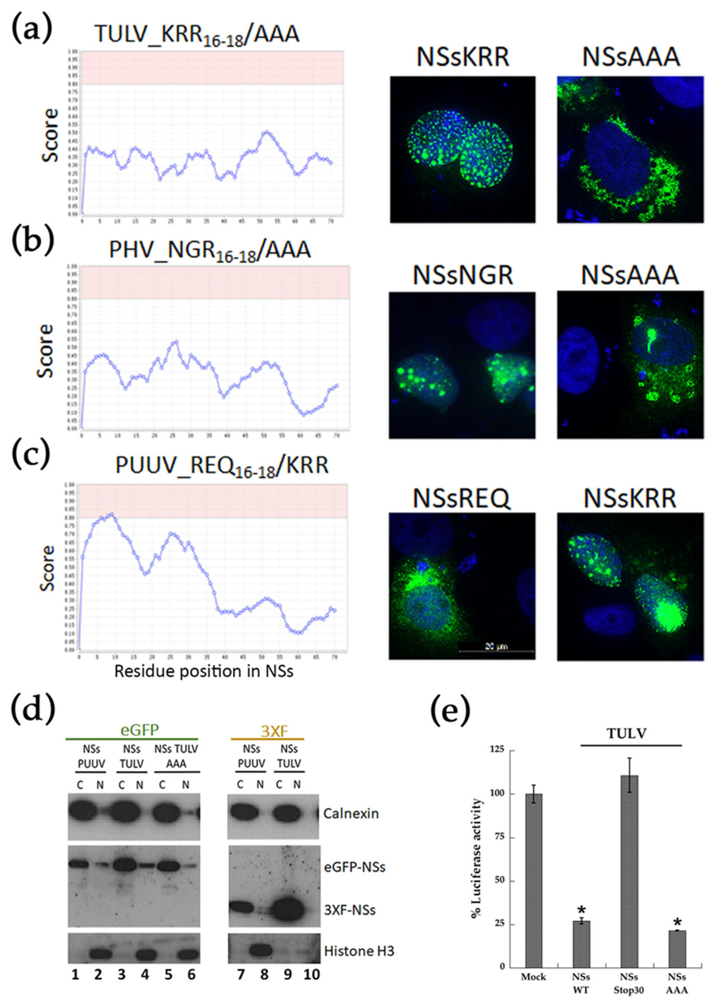Viruses 13 00140 g005