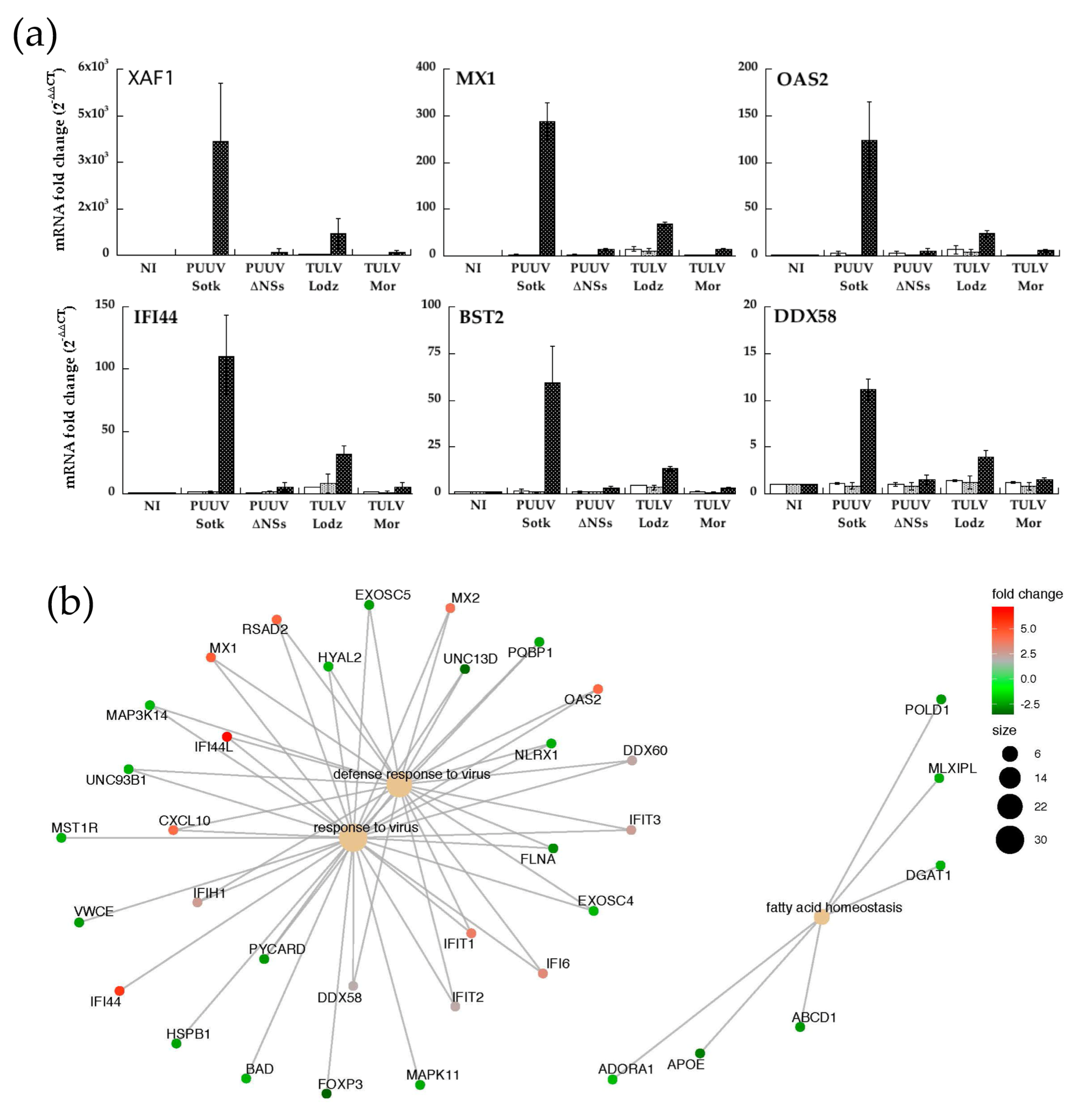 Viruses 13 00140 g007