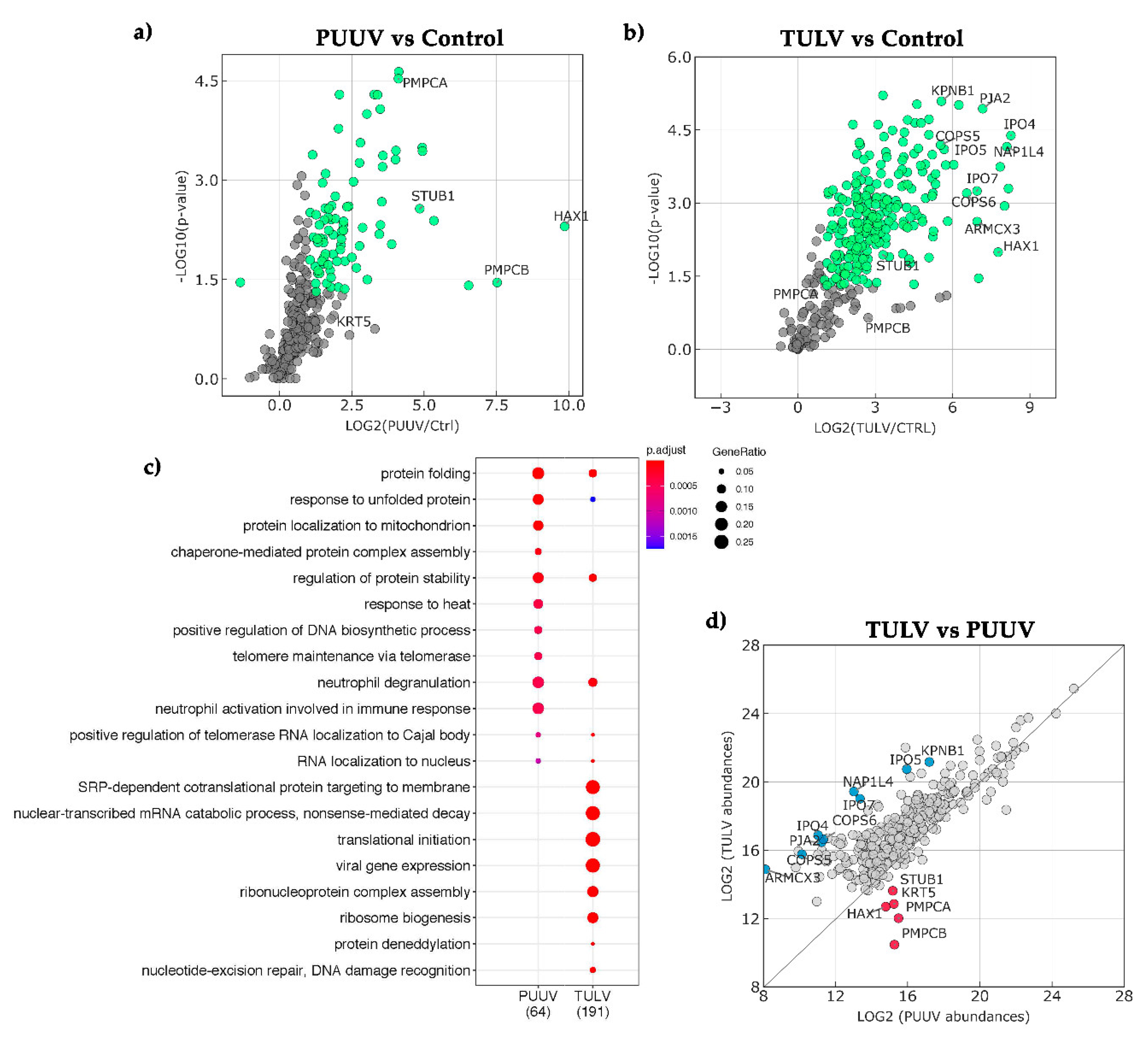 Viruses 13 00140 g008