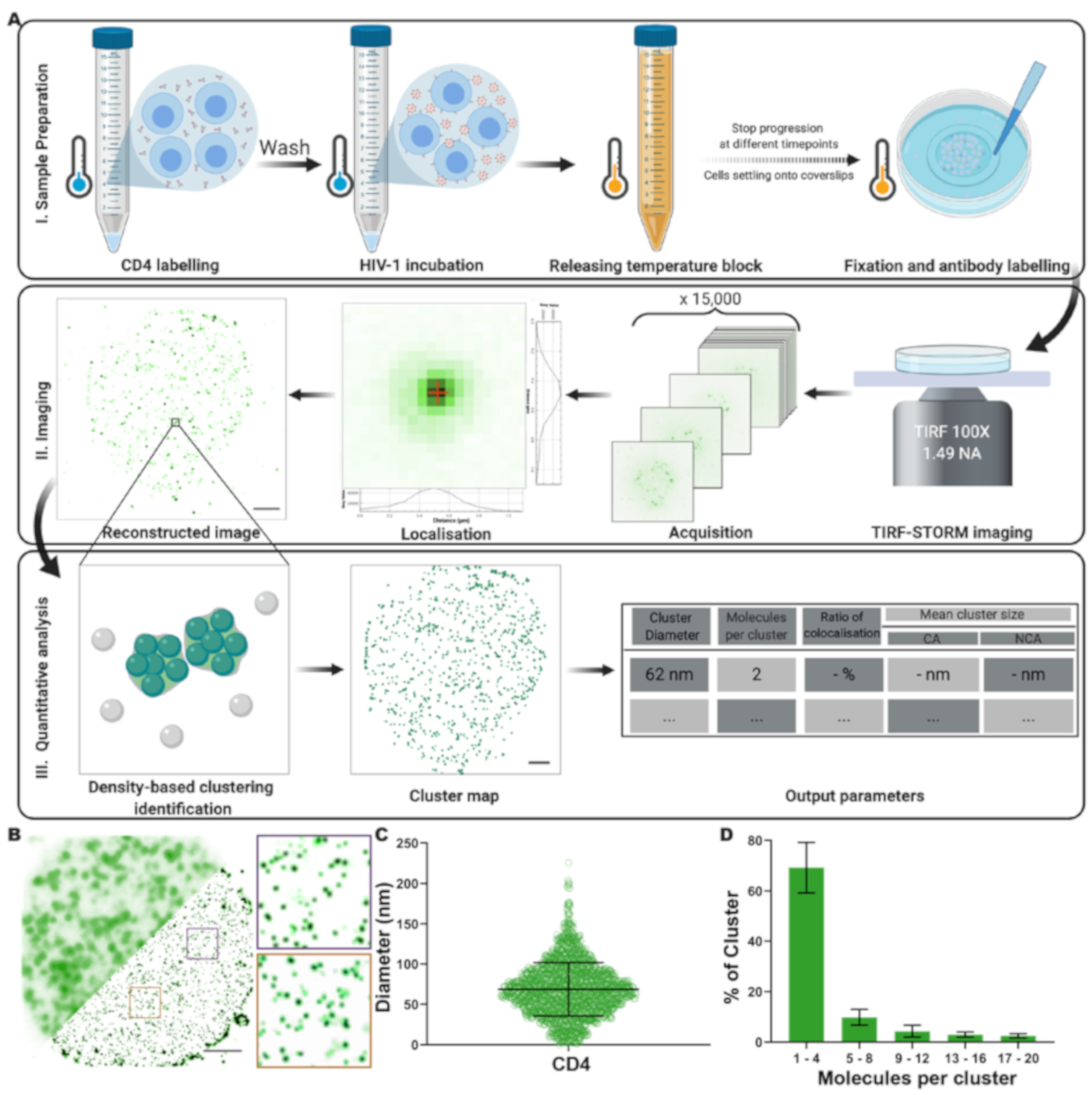 Viruses 13 00142 g001