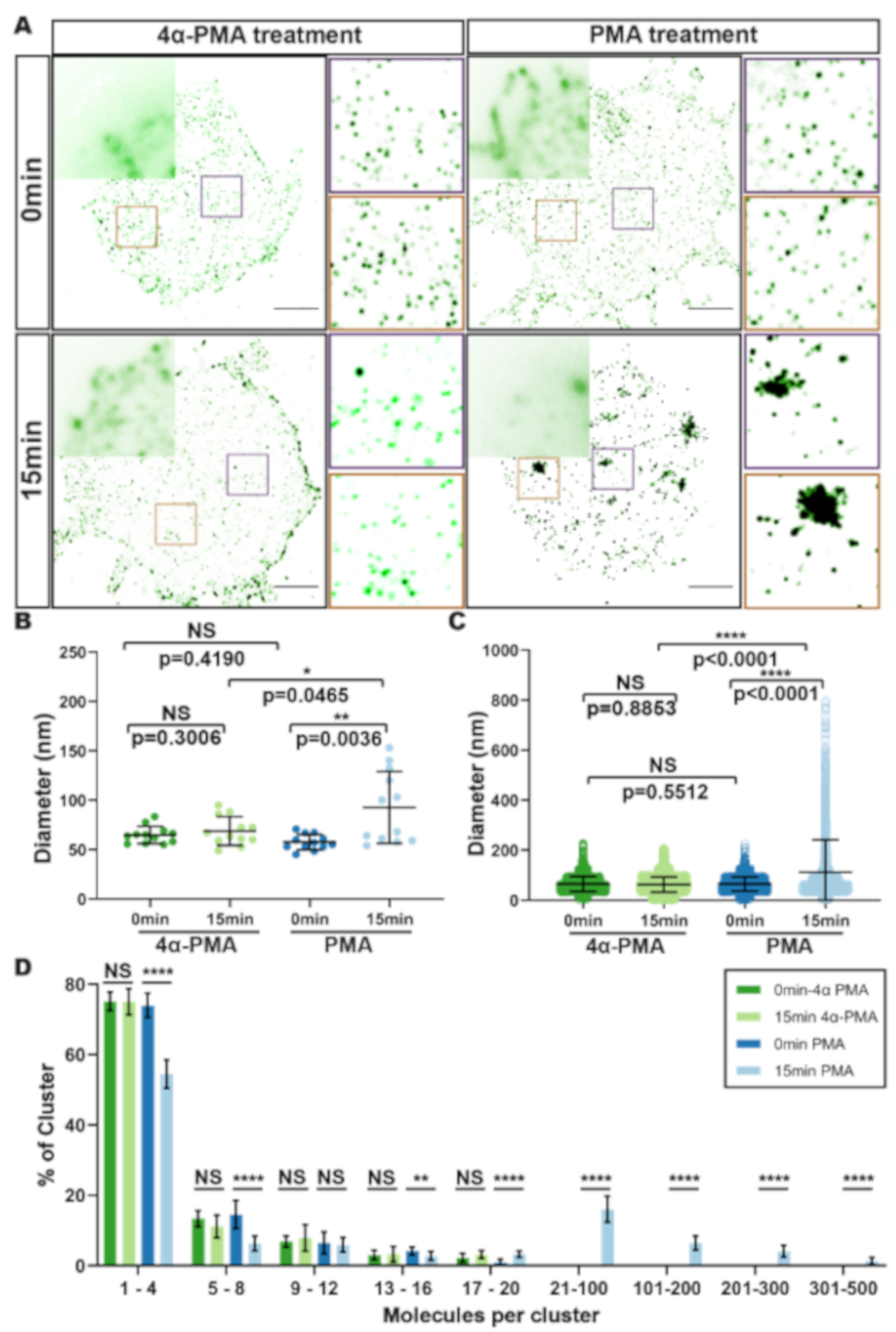 Viruses 13 00142 g002