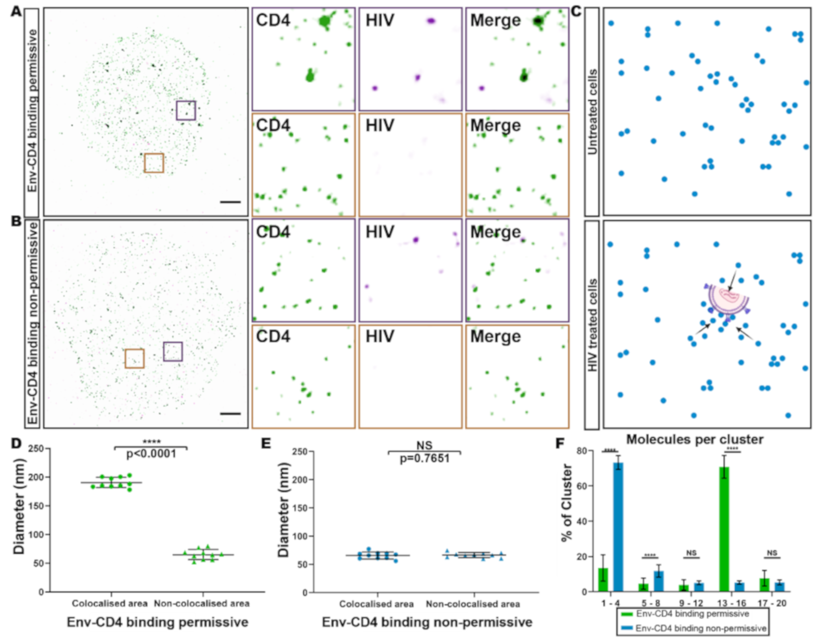 Viruses 13 00142 g003