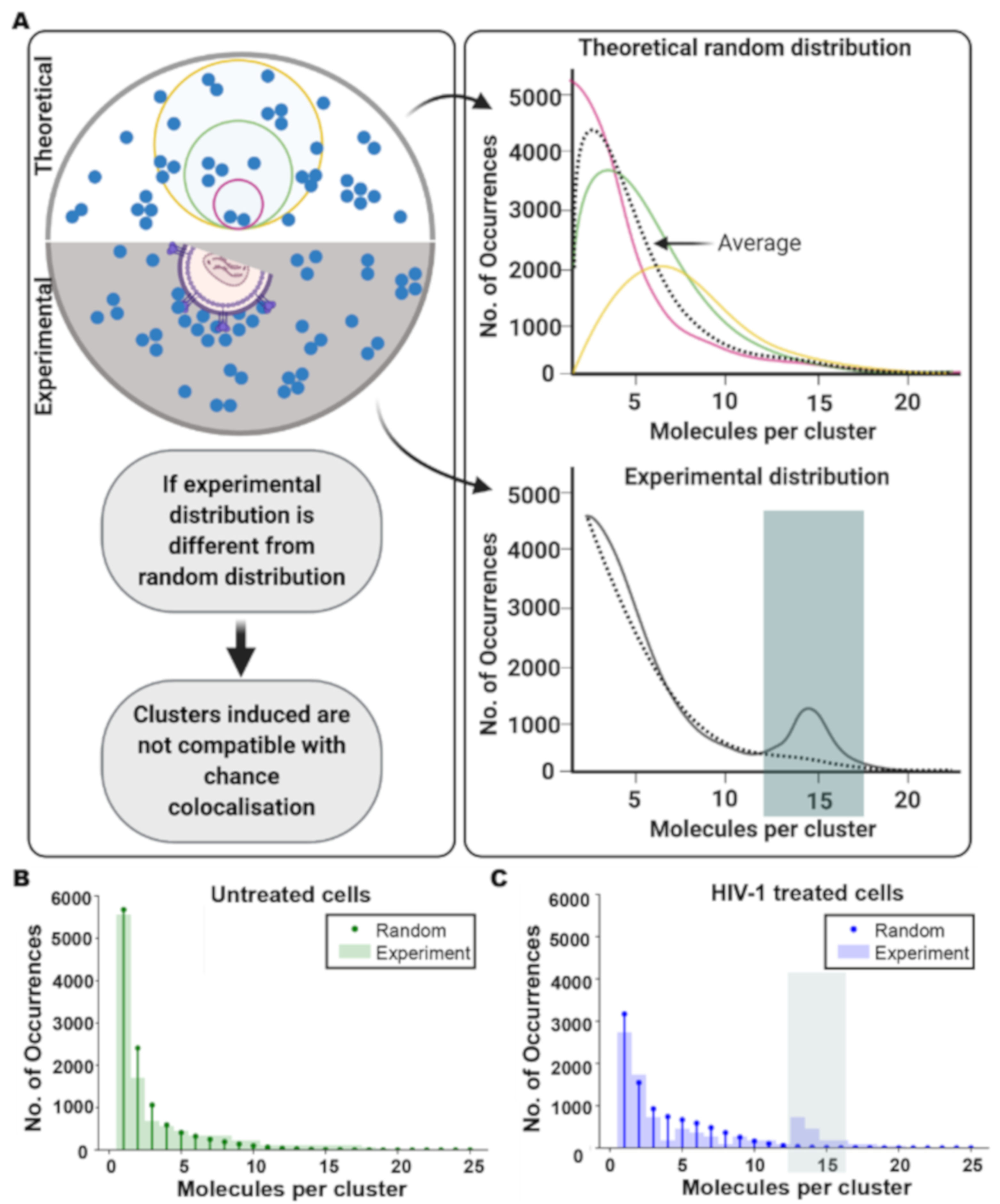 Viruses 13 00142 g004