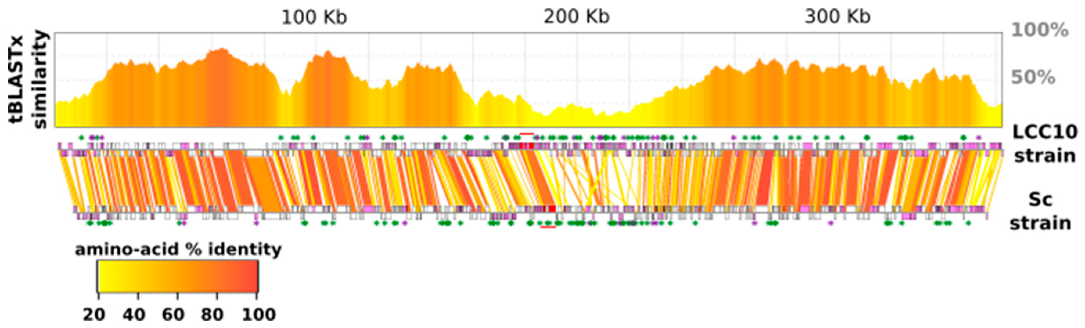 Viruses 13 00148 g005